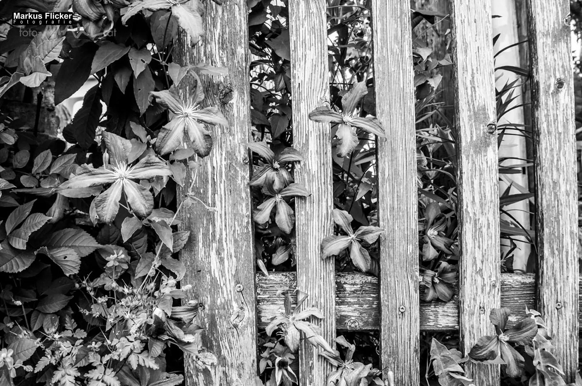 Fotoprojekt 365 Tage Streetphotography mit dem Smartphone. Fotografieren und Filmen mit dem Smartphone: Bessere Fotos und Videos mit dem Handy für Freizeit, Hobby und Business