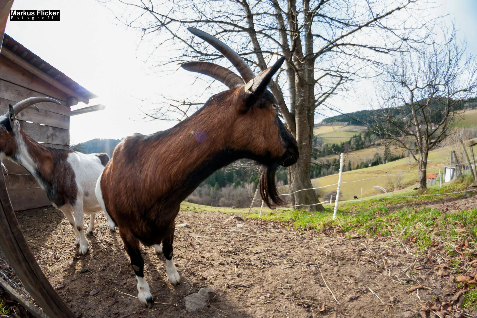 Fotoprojekt Weitwinkel Fotografie 365 Tage Walimex Pro 8mm Fisheye Fischaugenobjektiv