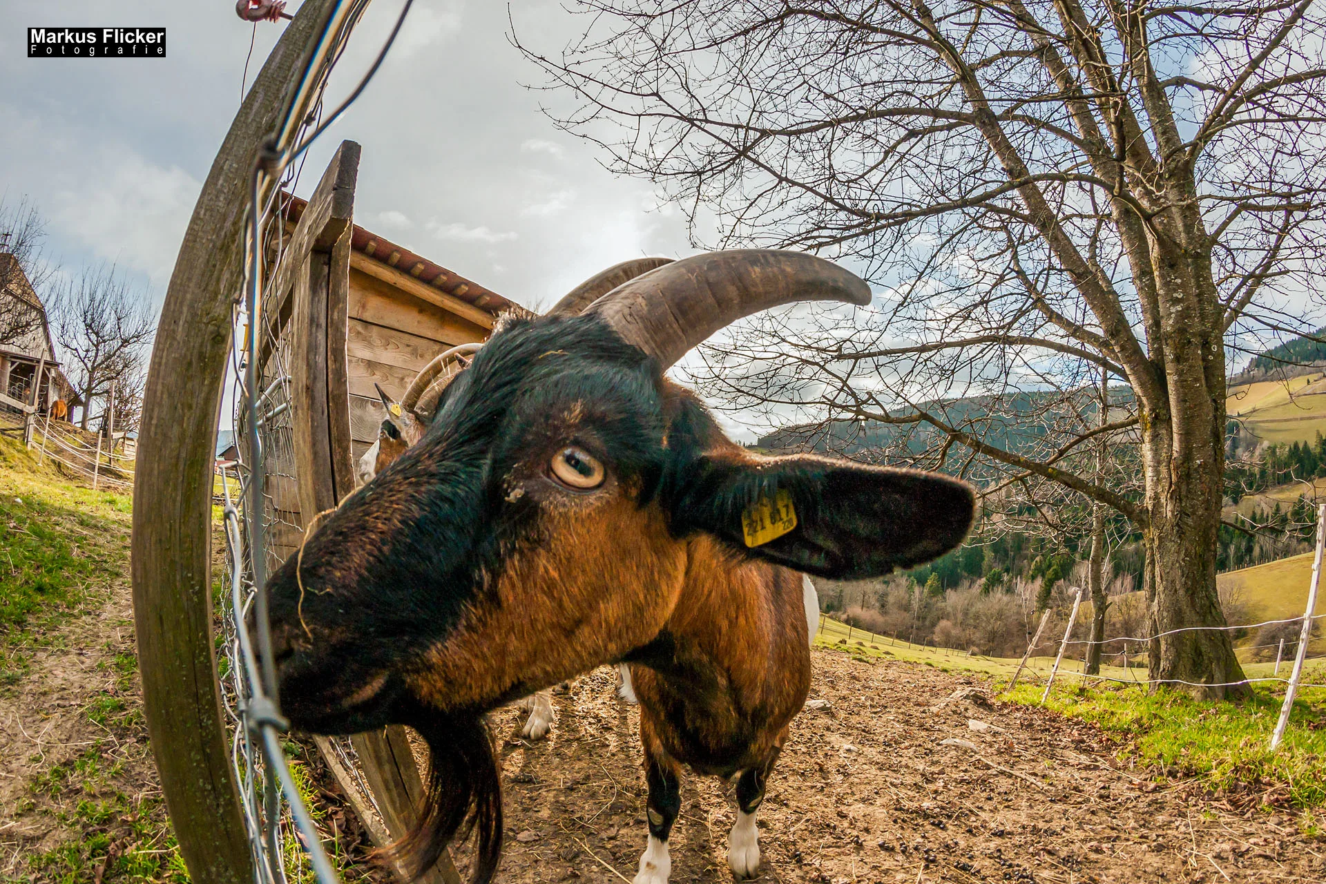 Fotoprojekt Weitwinkel Fotografie 365 Tage Walimex Pro 8mm Fisheye Fischaugenobjektiv