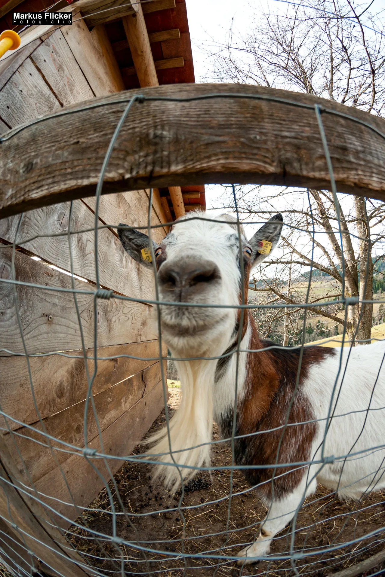 Fotoprojekt Weitwinkel Fotografie 365 Tage Walimex Pro 8mm Fisheye Fischaugenobjektiv