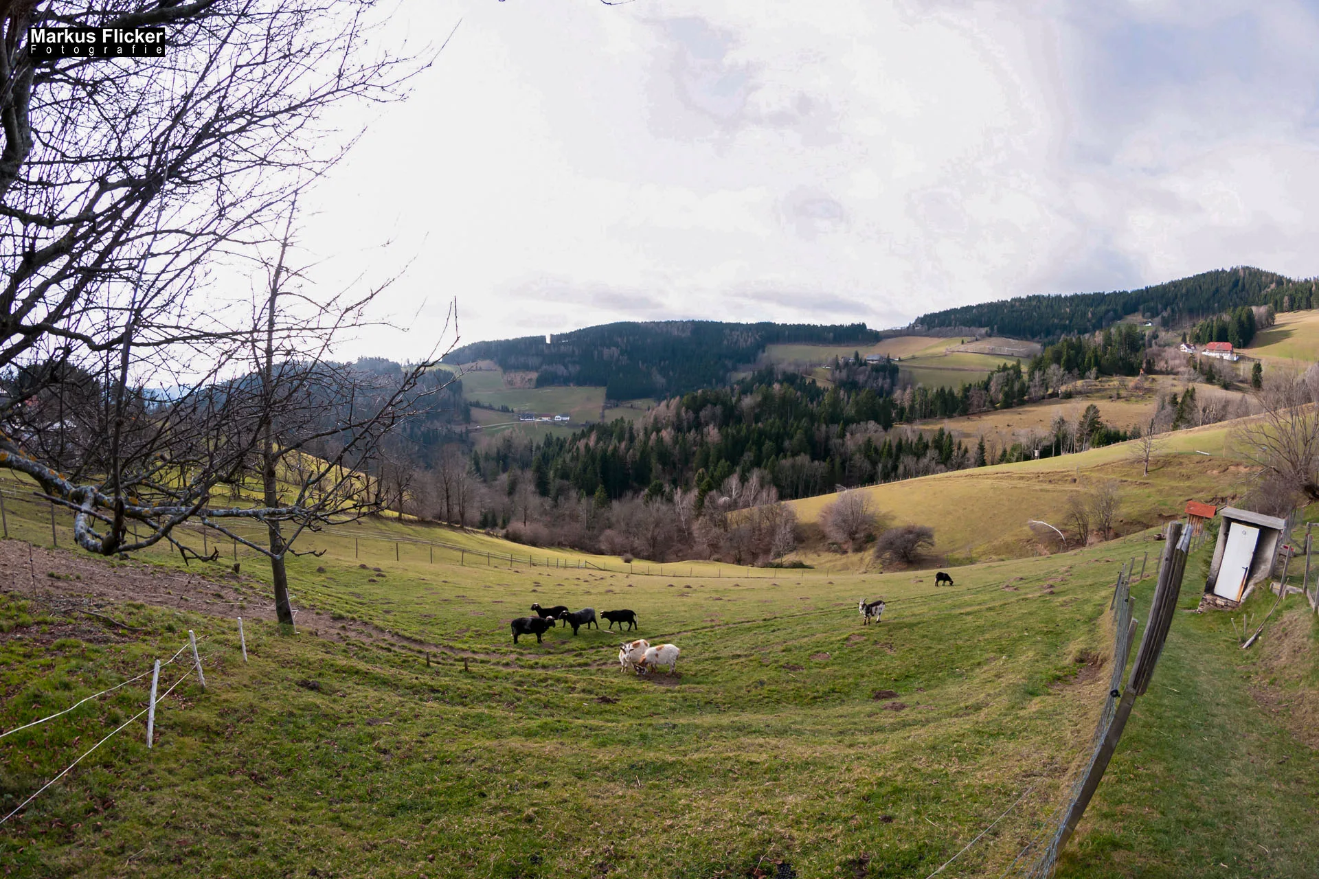 Fotoprojekt Weitwinkel Fotografie 365 Tage Walimex Pro 8mm Fisheye Fischaugenobjektiv