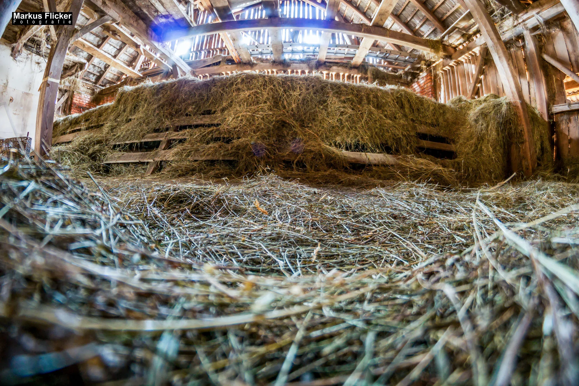 Fotoprojekt Weitwinkel Fotografie 365 Tage Walimex Pro 8mm Fisheye Fischaugenobjektiv