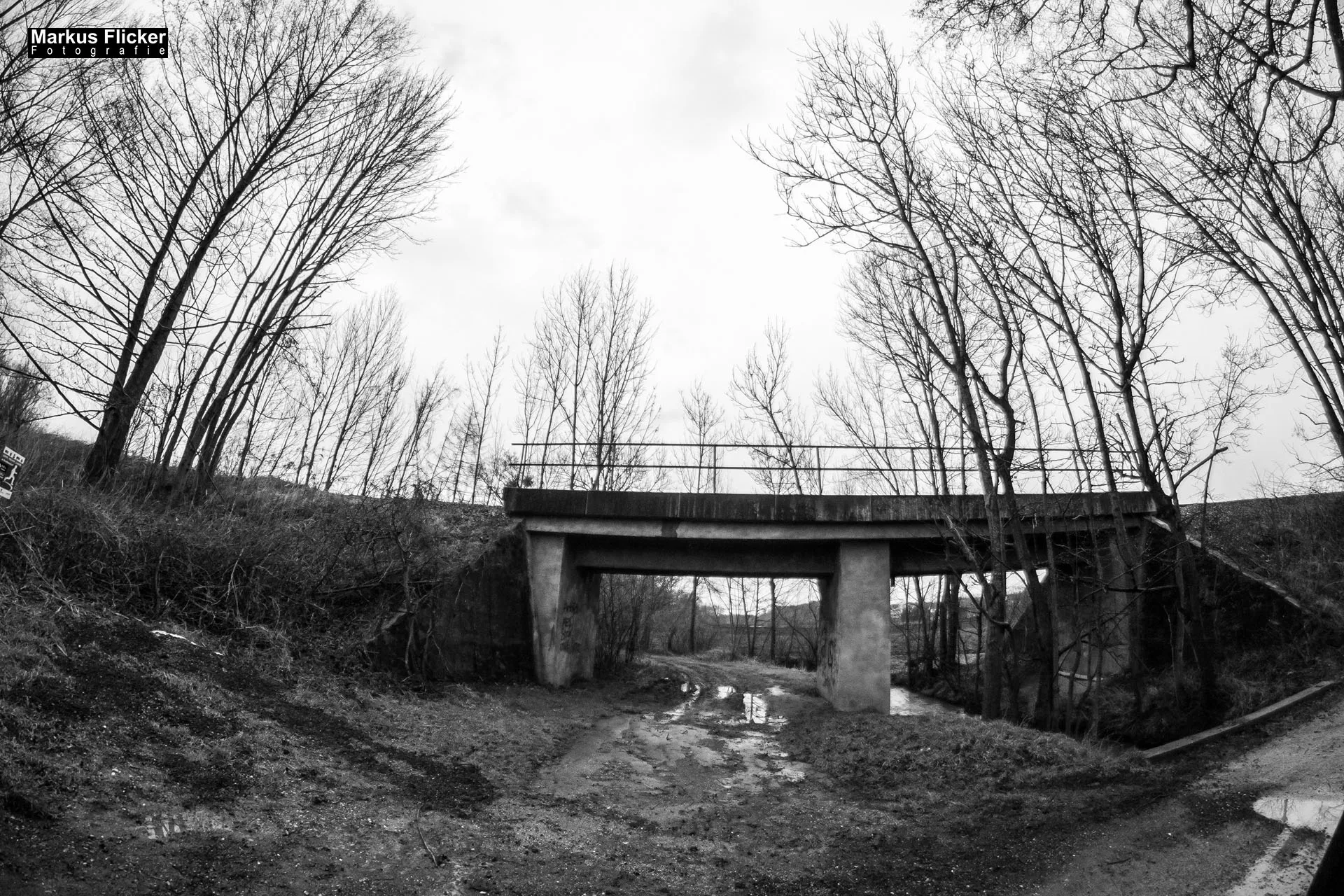 Fotoprojekt Weitwinkel Fotografie 365 Tage Walimex Pro 8mm Fisheye Fischaugenobjektiv