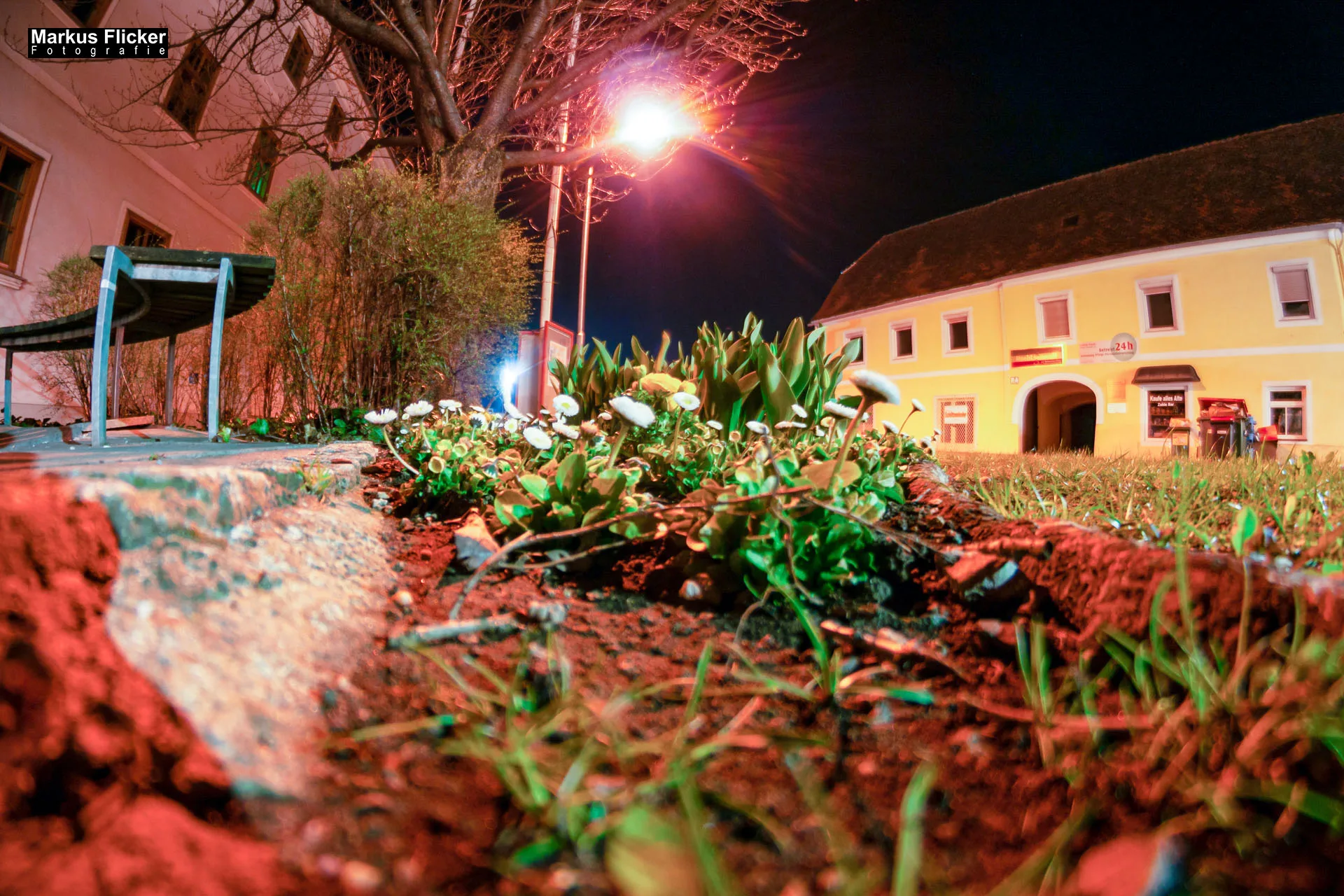 Fotoprojekt Weitwinkel Fotografie 365 Tage Walimex Pro 8mm Fisheye Fischaugenobjektiv