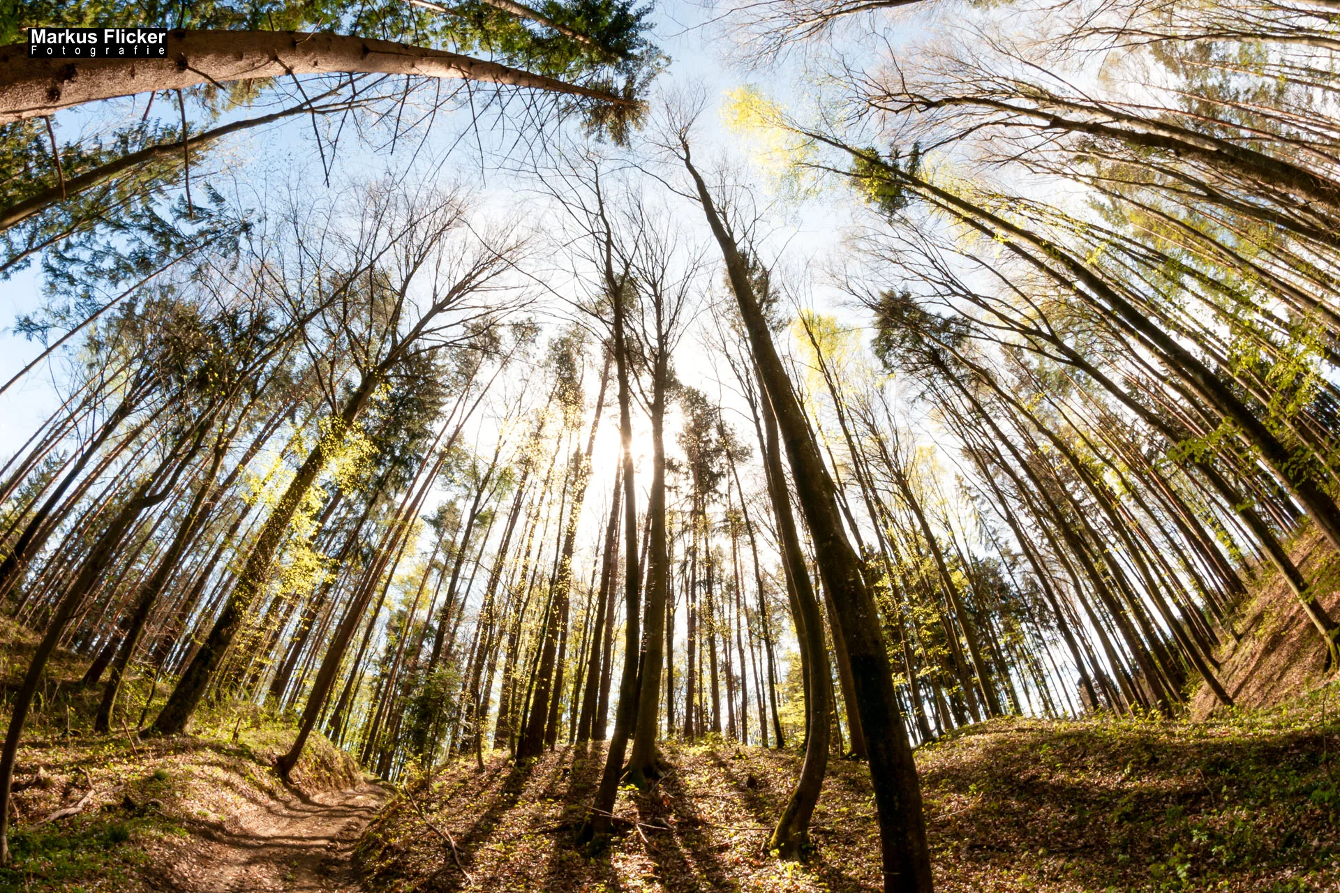 Fotoprojekt Weitwinkel Fotografie 365 Tage Walimex Pro 8mm Fisheye Fischaugenobjektiv