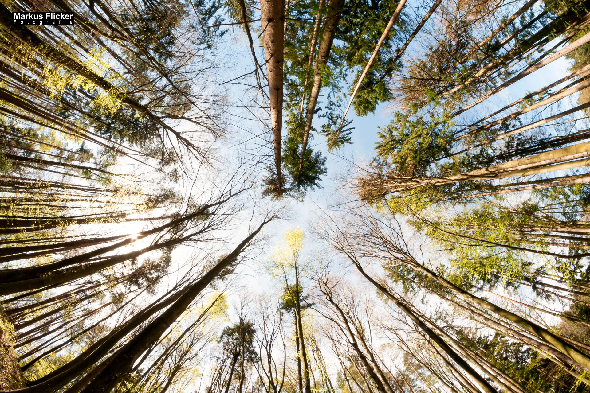 Fotoprojekt Weitwinkel Fotografie 365 Tage Walimex Pro 8mm Fisheye Fischaugenobjektiv