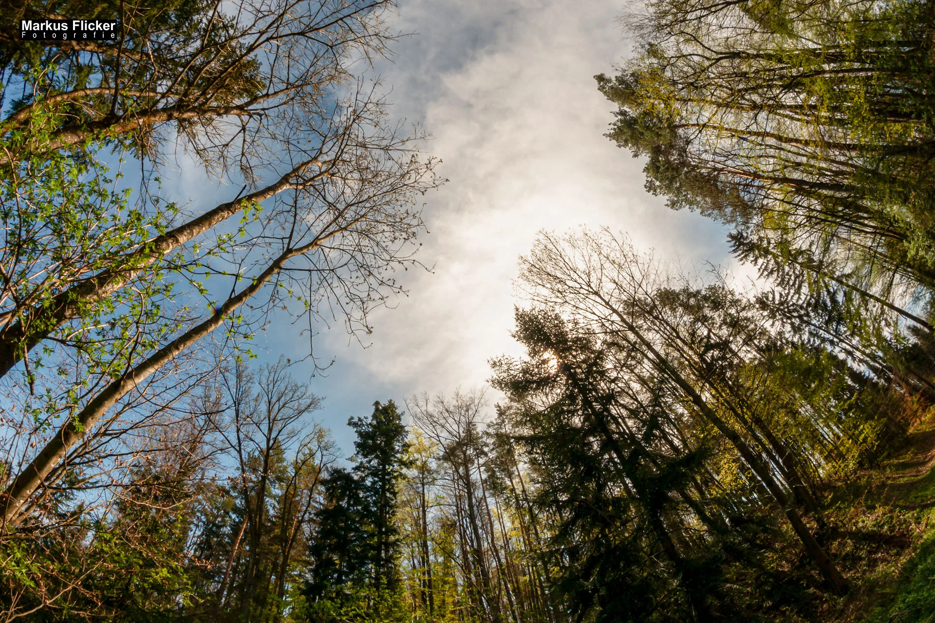 Fotoprojekt Weitwinkel Fotografie 365 Tage Walimex Pro 8mm Fisheye Fischaugenobjektiv