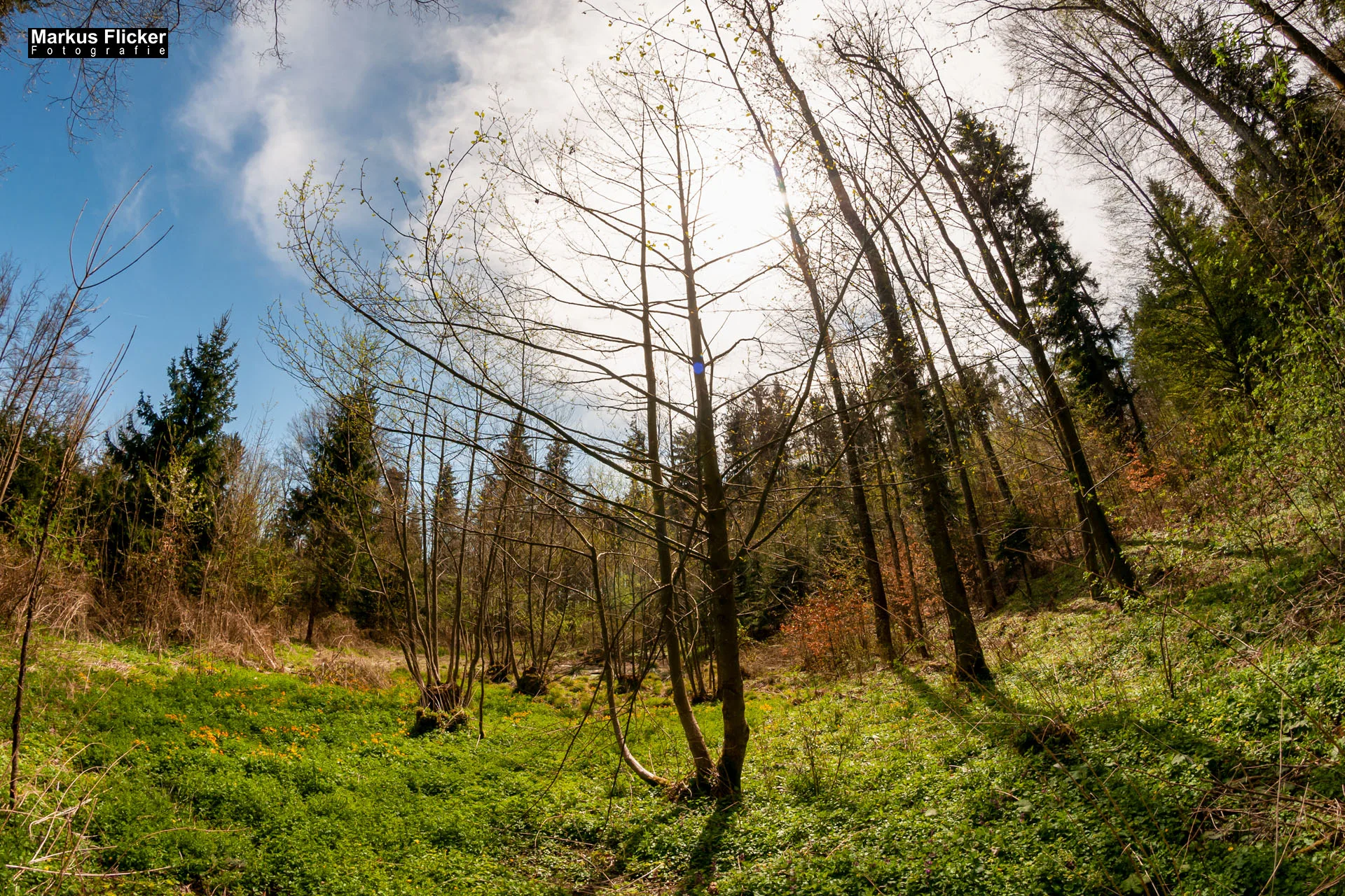 Fotoprojekt Weitwinkel Fotografie 365 Tage Walimex Pro 8mm Fisheye Fischaugenobjektiv