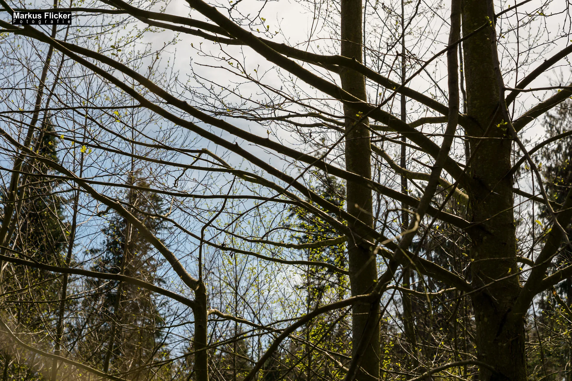Fotoprojekt Weitwinkel Fotografie 365 Tage Walimex Pro 8mm Fisheye Fischaugenobjektiv
