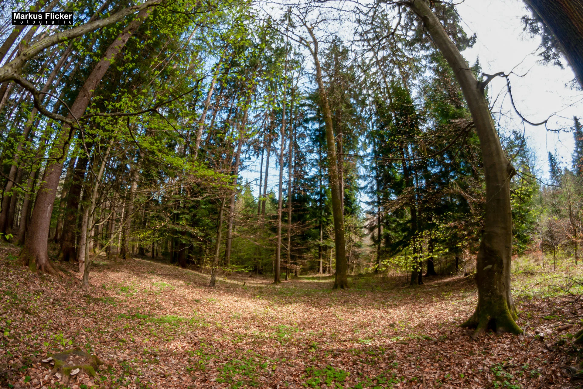 Fotoprojekt Weitwinkel Fotografie 365 Tage Walimex Pro 8mm Fisheye Fischaugenobjektiv