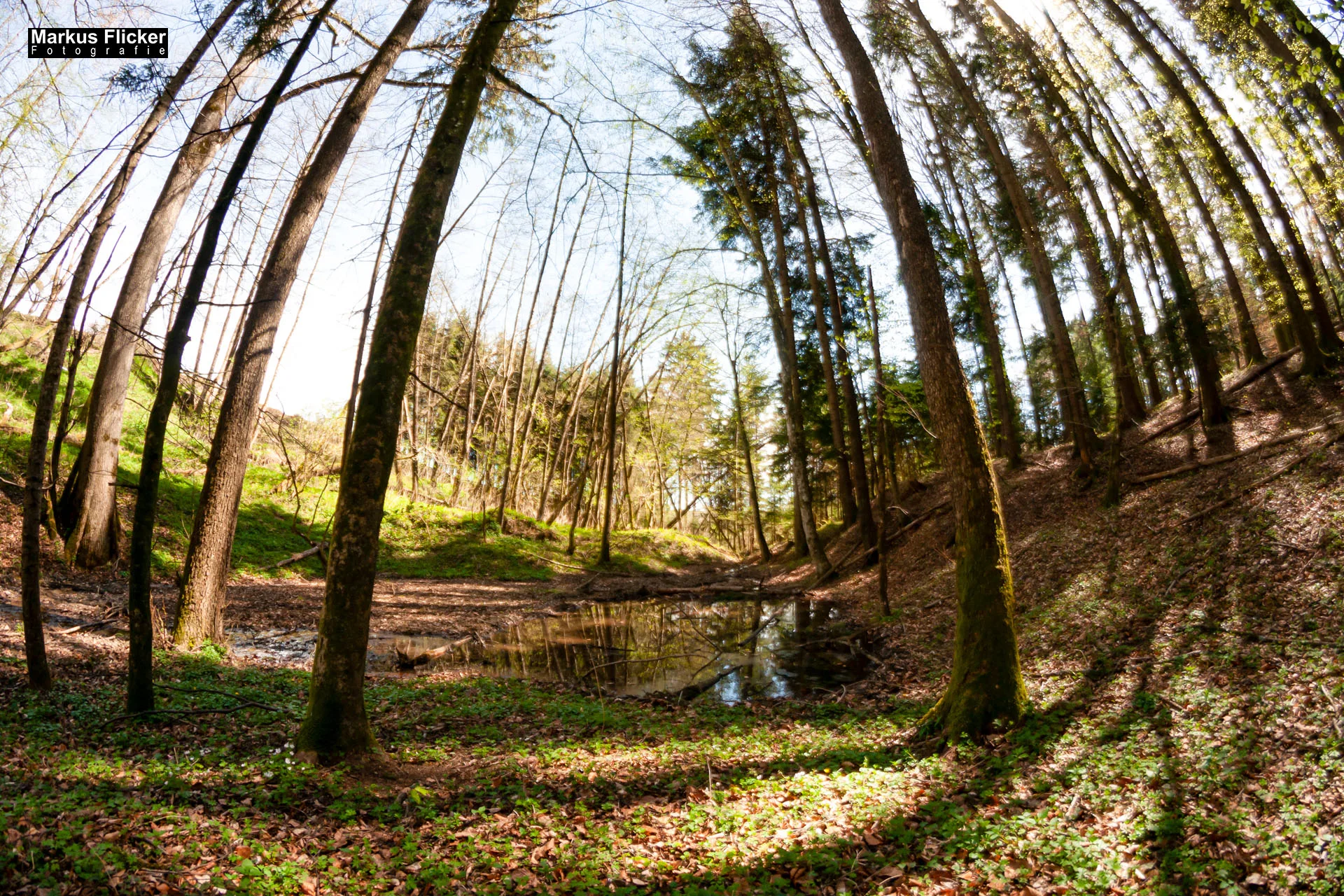 Fotoprojekt Weitwinkel Fotografie 365 Tage Walimex Pro 8mm Fisheye Fischaugenobjektiv