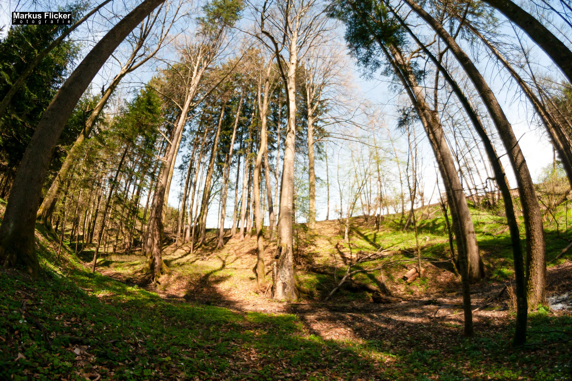 Fotoprojekt Weitwinkel Fotografie 365 Tage Walimex Pro 8mm Fisheye Fischaugenobjektiv