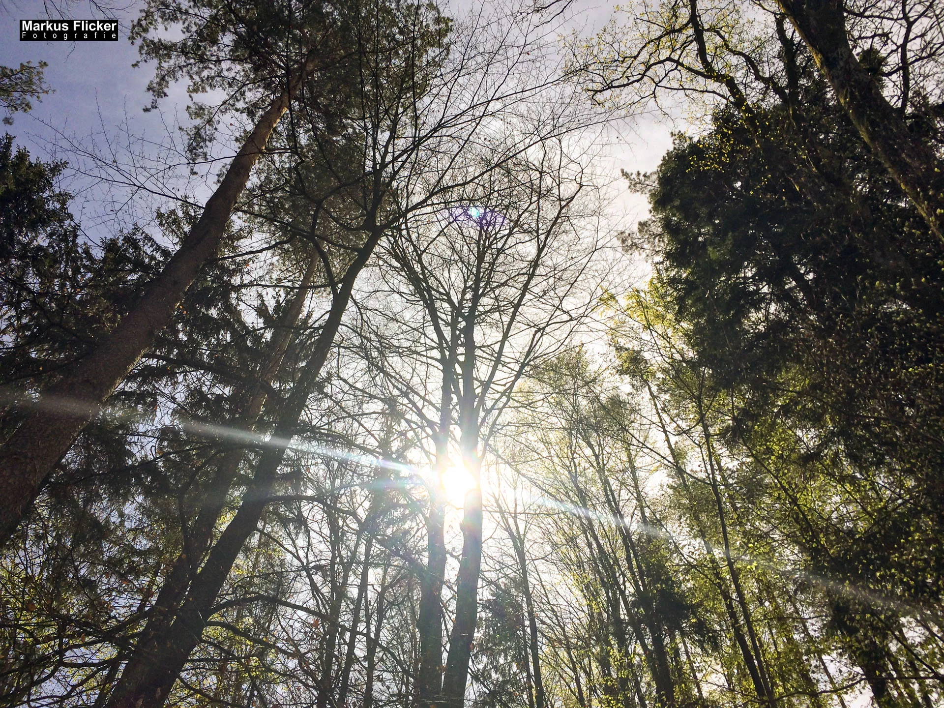 Fotoprojekt Weitwinkel Fotografie 365 Tage Walimex Pro 8mm Fisheye Fischaugenobjektiv
