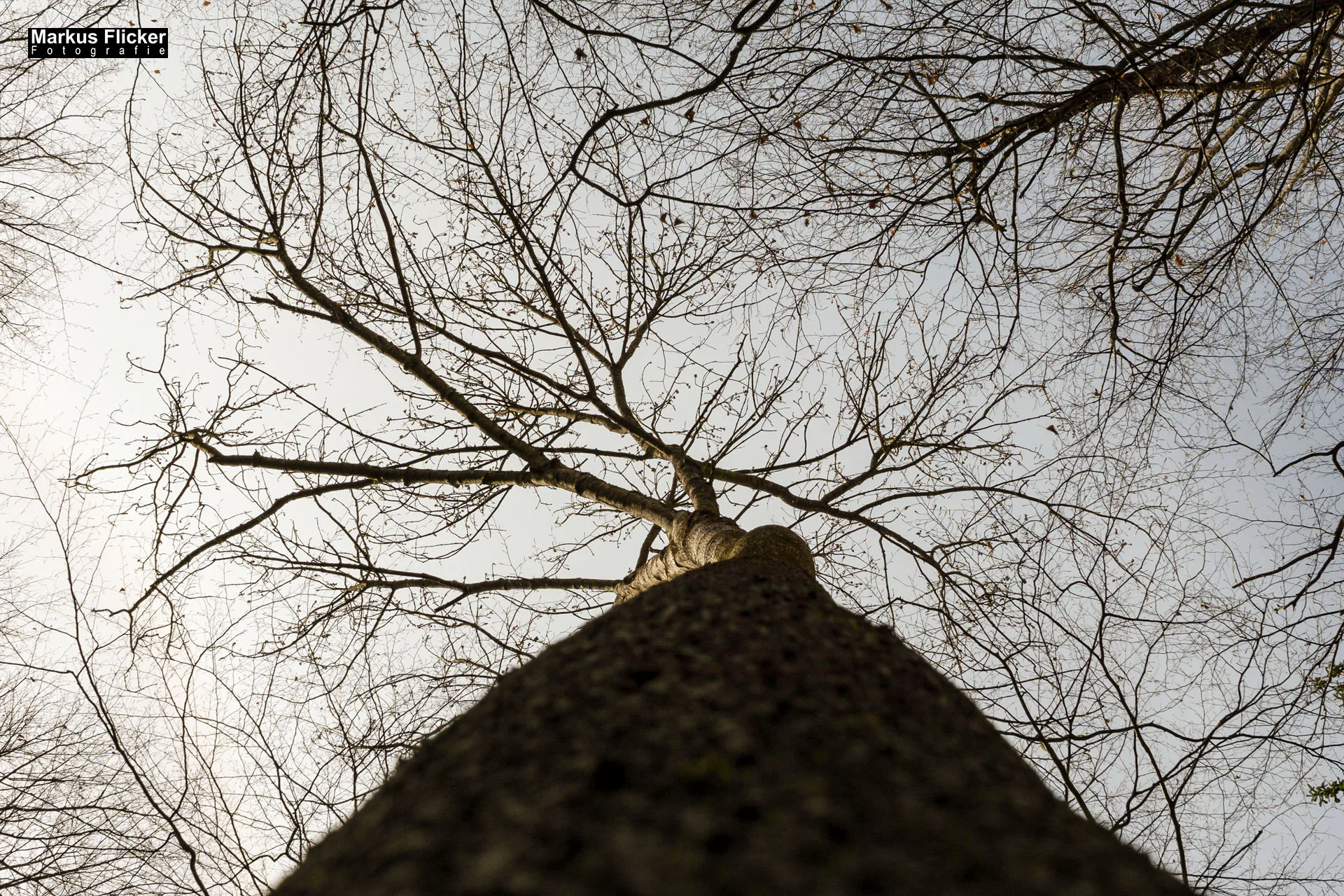 Fotoprojekt Weitwinkel Fotografie 365 Tage Walimex Pro 8mm Fisheye Fischaugenobjektiv
