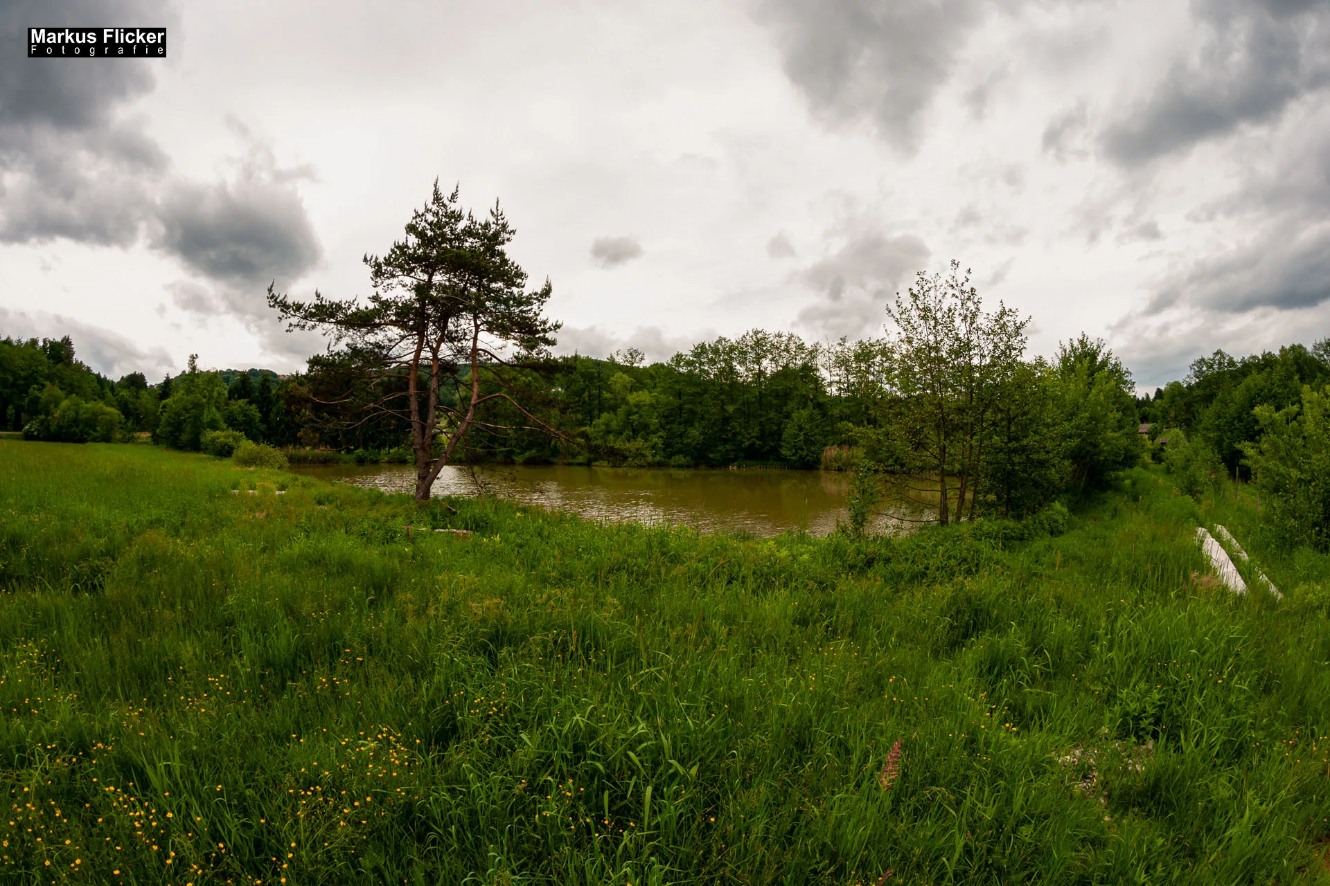 Fotoprojekt Weitwinkel Fotografie 365 Tage Walimex Pro 8mm Fisheye Fischaugenobjektiv