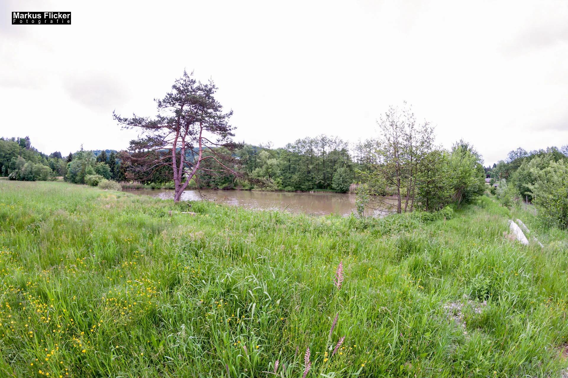 Fotoprojekt Weitwinkel Fotografie 365 Tage Walimex Pro 8mm Fisheye Fischaugenobjektiv