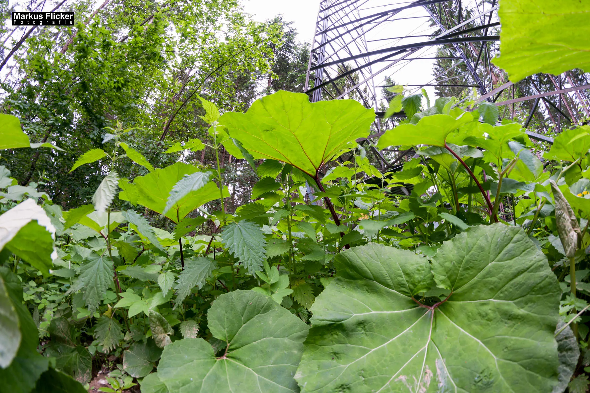 Fotoprojekt Weitwinkel Fotografie 365 Tage Walimex Pro 8mm Fisheye Fischaugenobjektiv