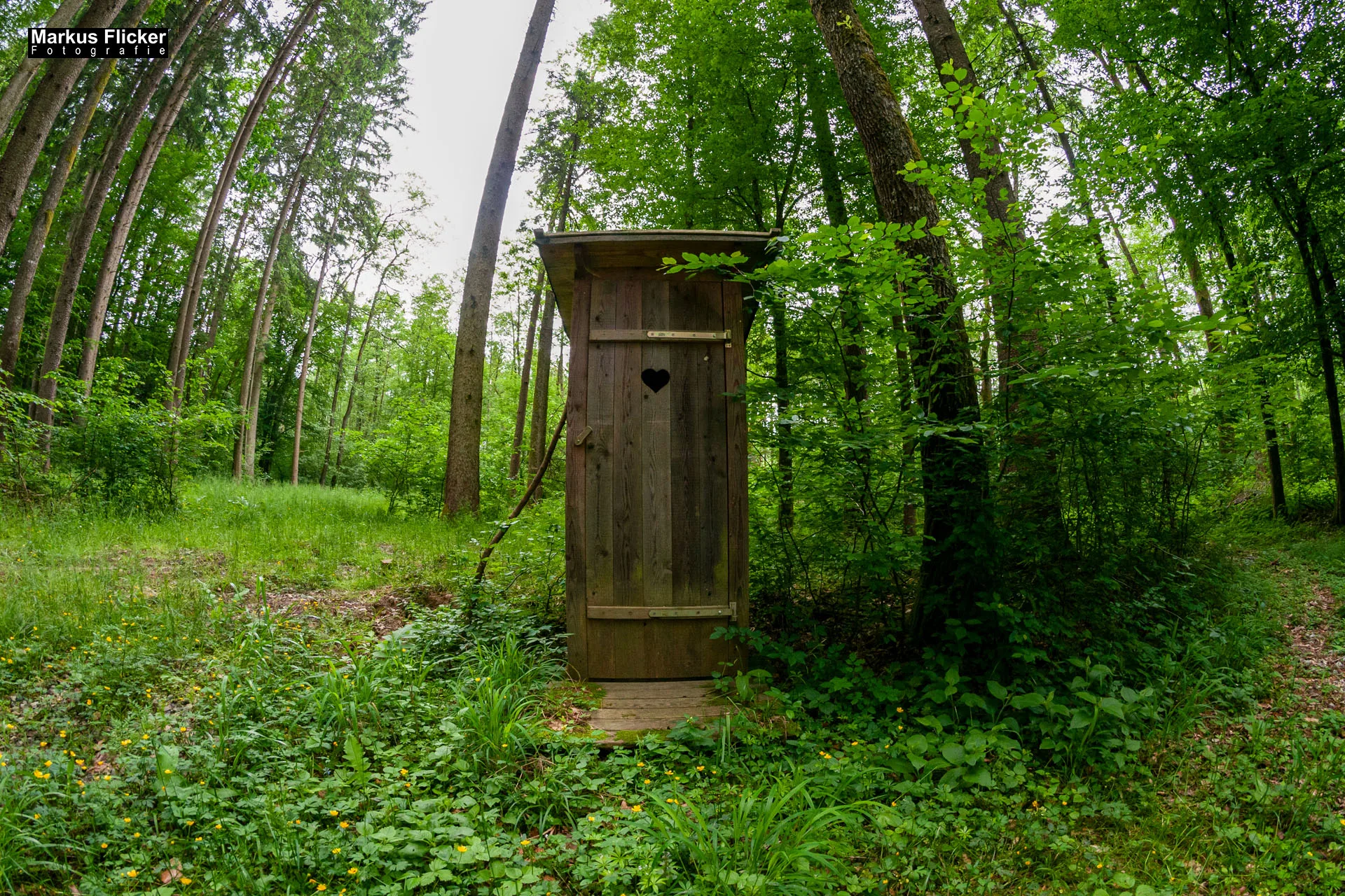 Fotoprojekt Weitwinkel Fotografie 365 Tage Walimex Pro 8mm Fisheye Fischaugenobjektiv