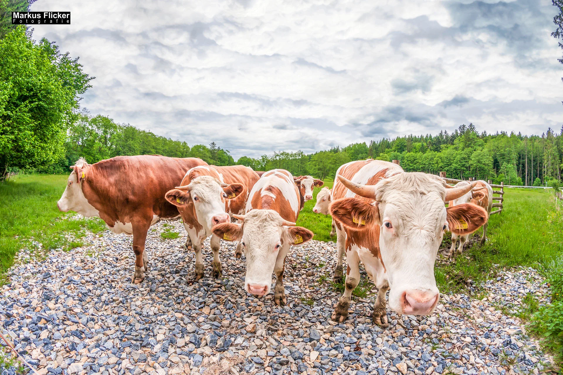 Fotoprojekt Weitwinkel Fotografie 365 Tage Walimex Pro 8mm Fisheye Fischaugenobjektiv