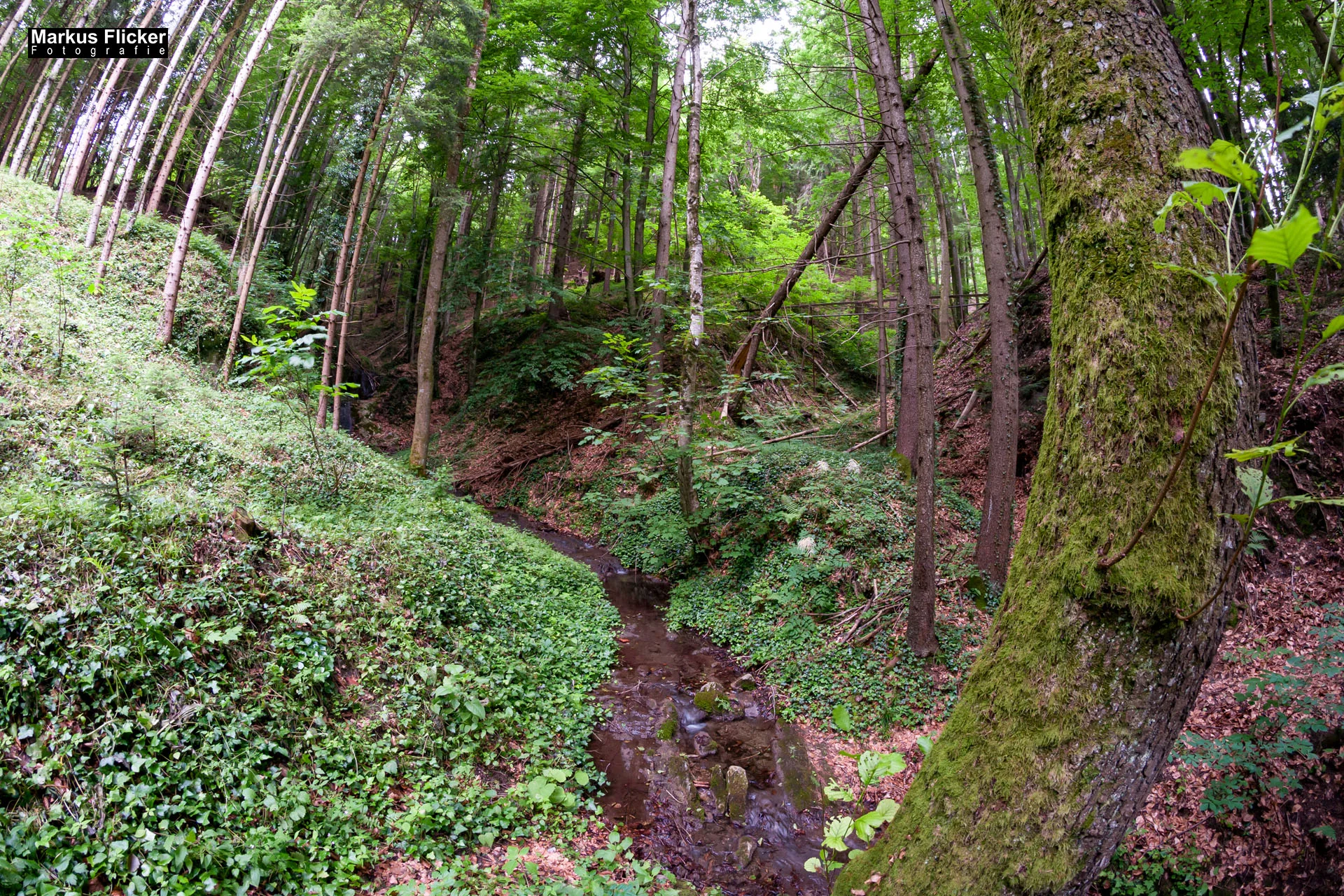 Fotoprojekt Weitwinkel Fotografie 365 Tage Walimex Pro 8mm Fisheye Fischaugenobjektiv