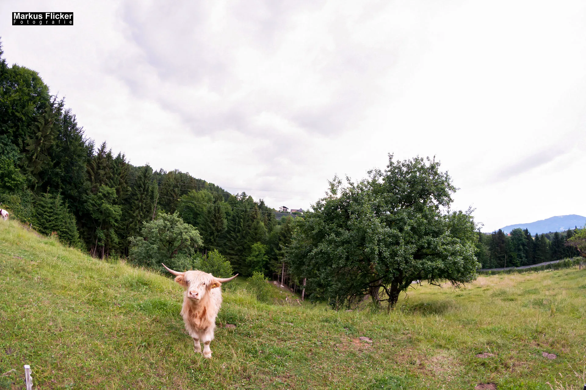Fotoprojekt Weitwinkel Fotografie 365 Tage Walimex Pro 8mm Fisheye Fischaugenobjektiv