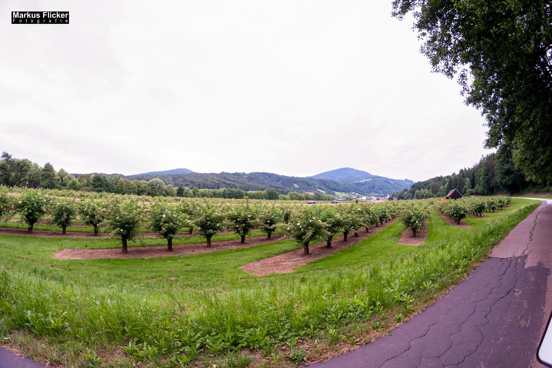 Fotoprojekt Weitwinkel Fotografie 365 Tage Walimex Pro 8mm Fisheye Fischaugenobjektiv