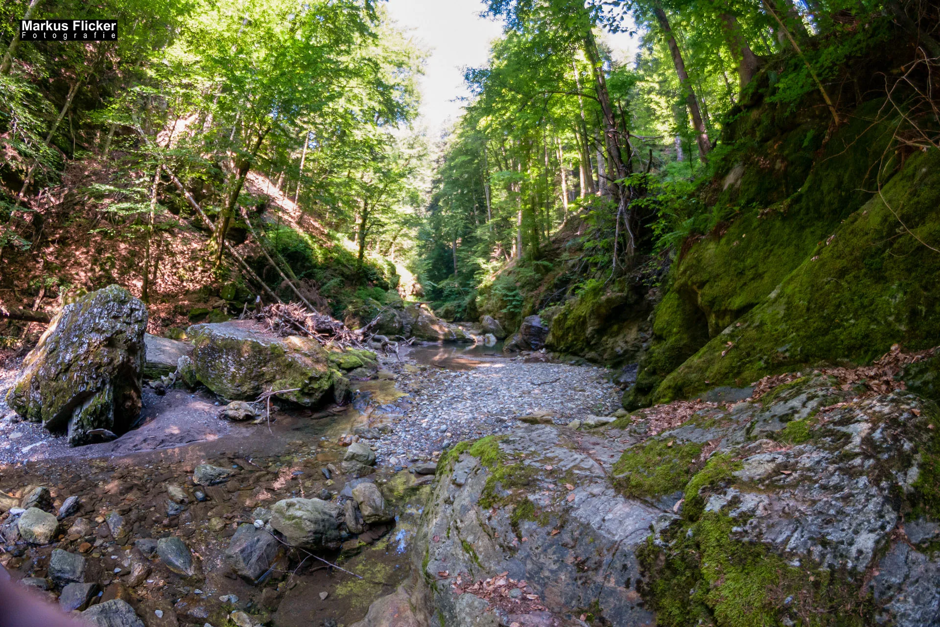 Fotoprojekt Weitwinkel Fotografie 365 Tage Walimex Pro 8mm Fisheye Fischaugenobjektiv