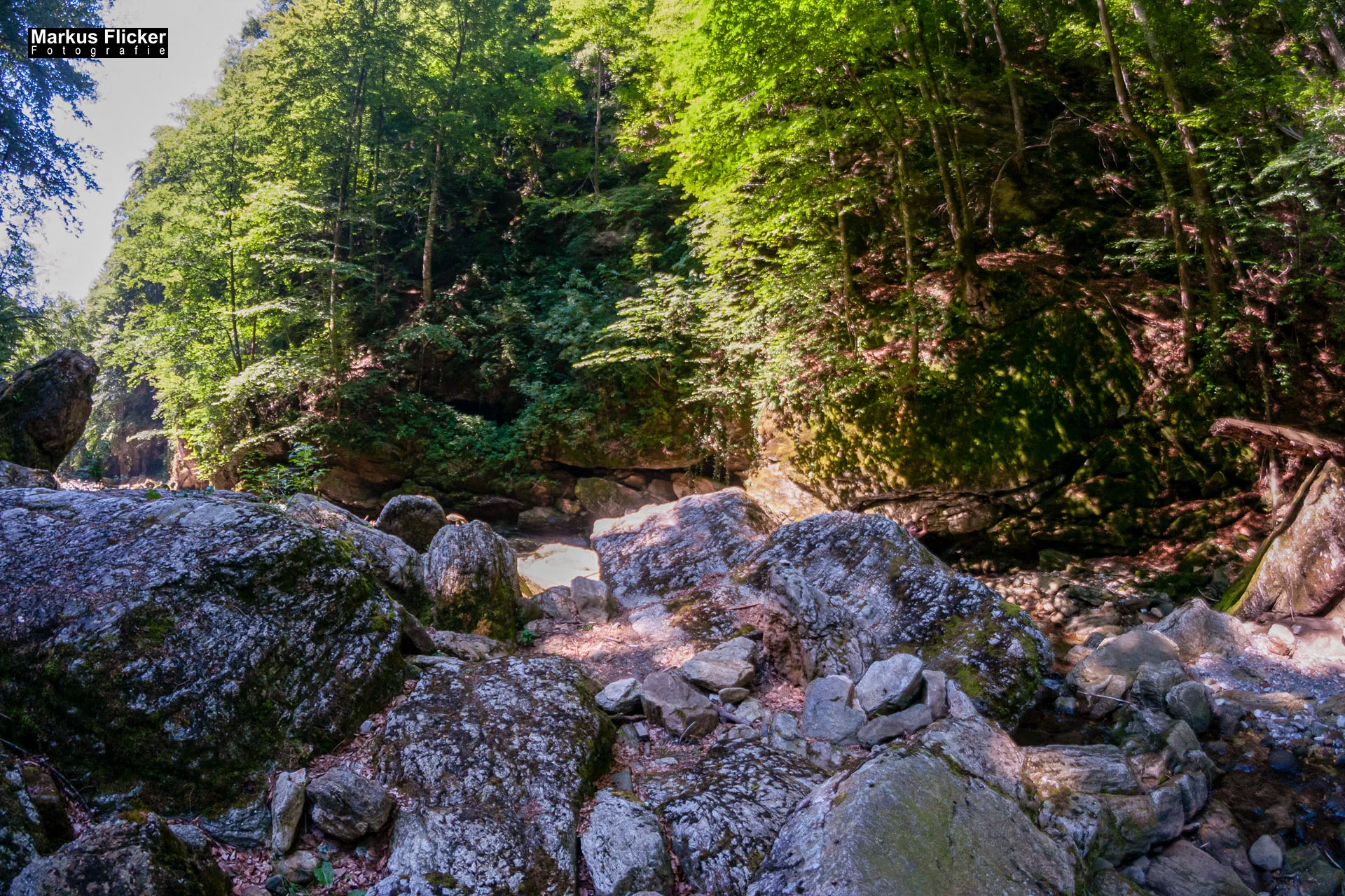 Fotoprojekt Weitwinkel Fotografie 365 Tage Walimex Pro 8mm Fisheye Fischaugenobjektiv