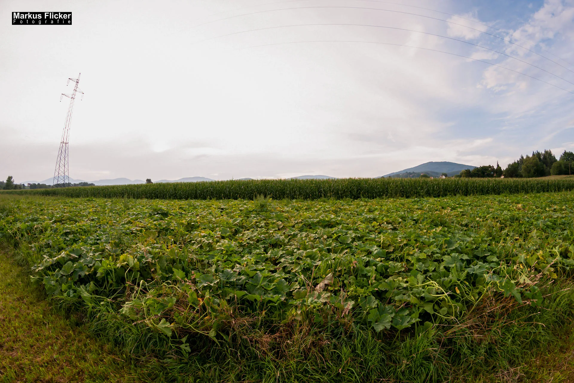 Fotoprojekt Weitwinkel Fotografie 365 Tage Walimex Pro 8mm Fisheye Fischaugenobjektiv