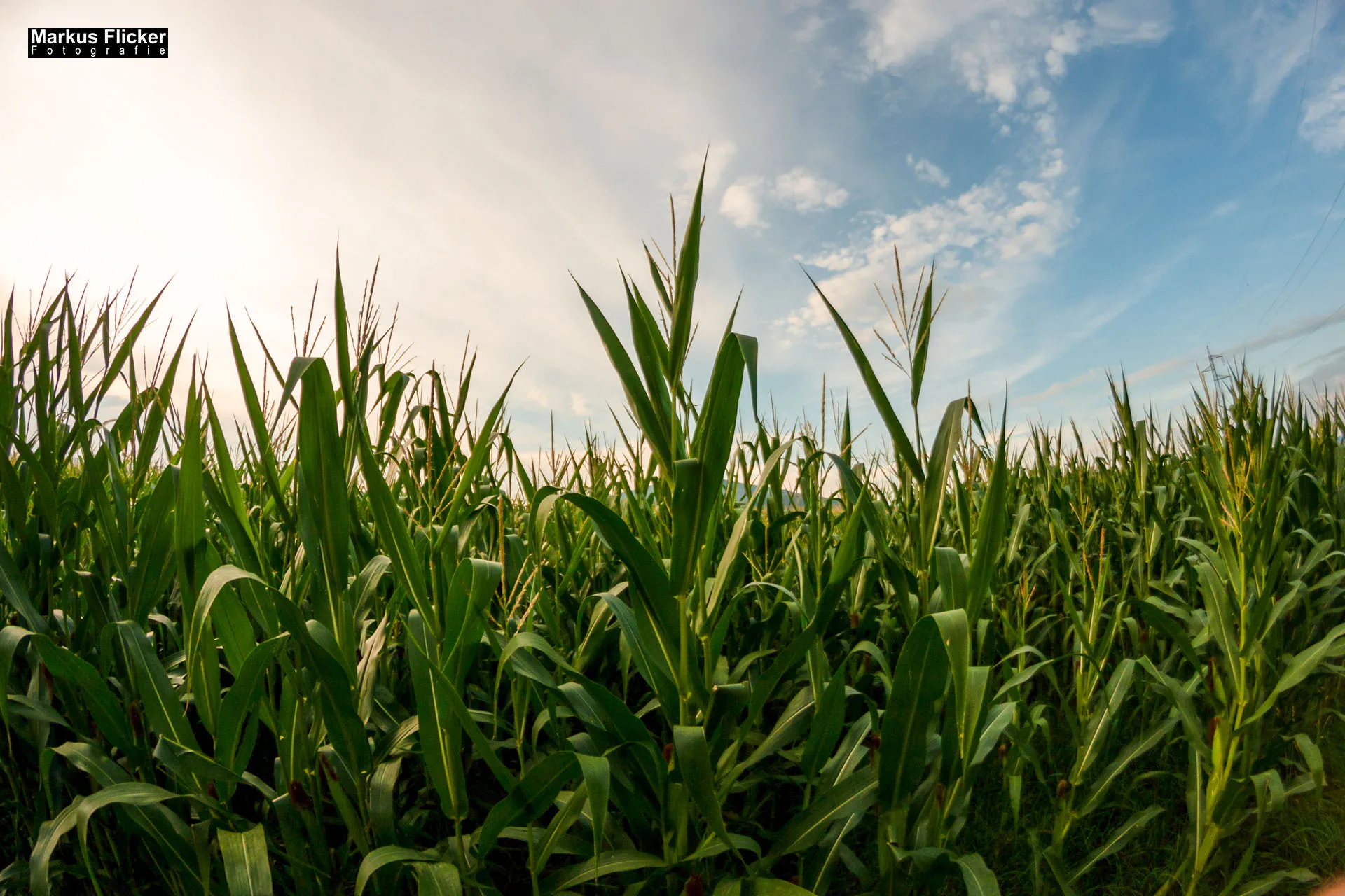 Fotoprojekt Weitwinkel Fotografie 365 Tage Walimex Pro 8mm Fisheye Fischaugenobjektiv