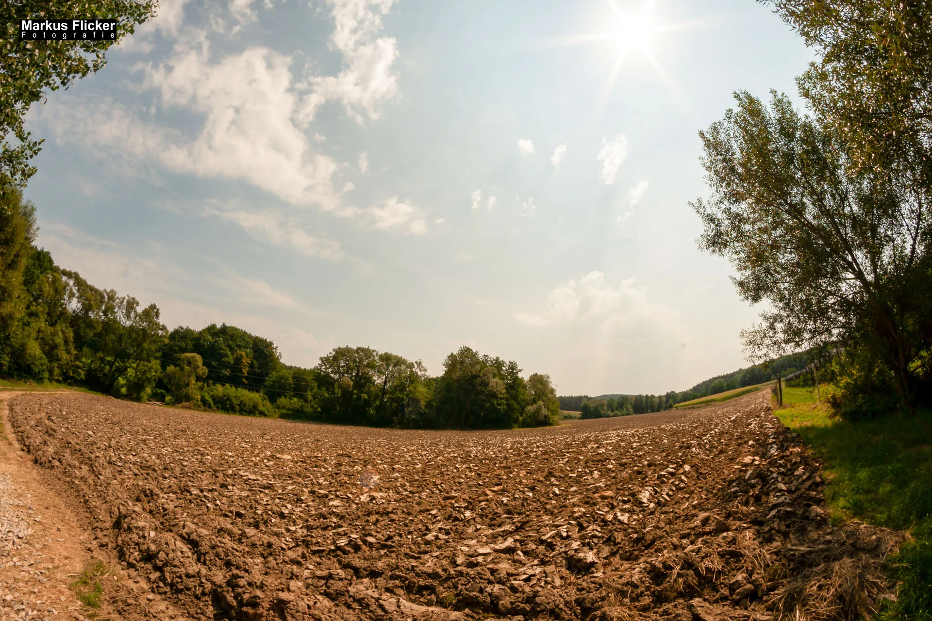 Fotoprojekt Weitwinkel Fotografie 365 Tage Walimex Pro 8mm Fisheye Fischaugenobjektiv