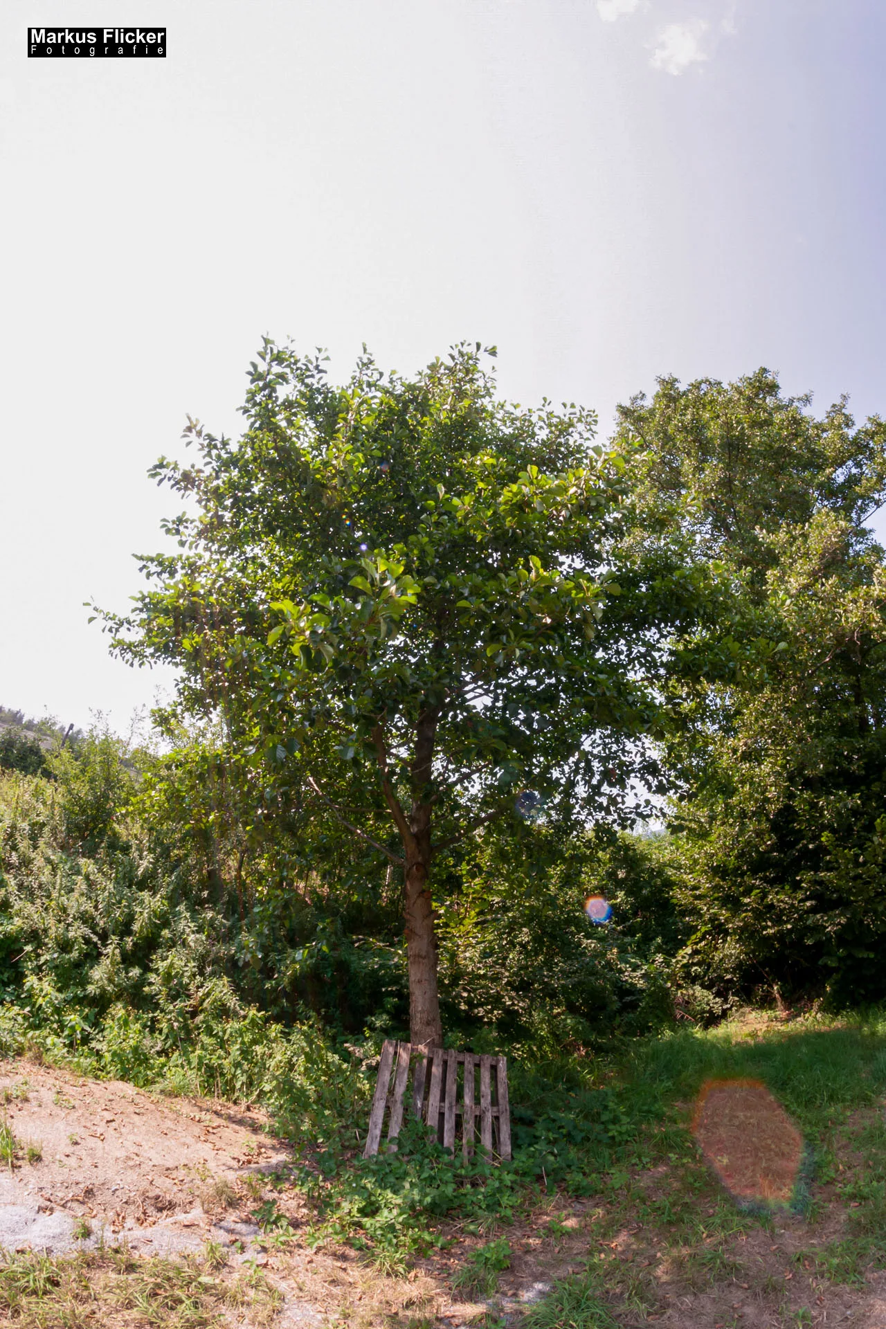 Fotoprojekt Weitwinkel Fotografie 365 Tage Walimex Pro 8mm Fisheye Fischaugenobjektiv