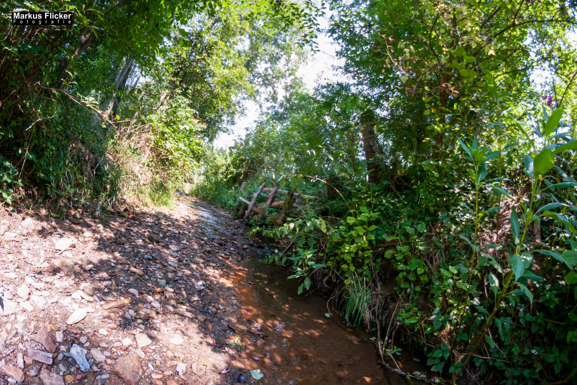 Fotoprojekt Weitwinkel Fotografie 365 Tage Walimex Pro 8mm Fisheye Fischaugenobjektiv