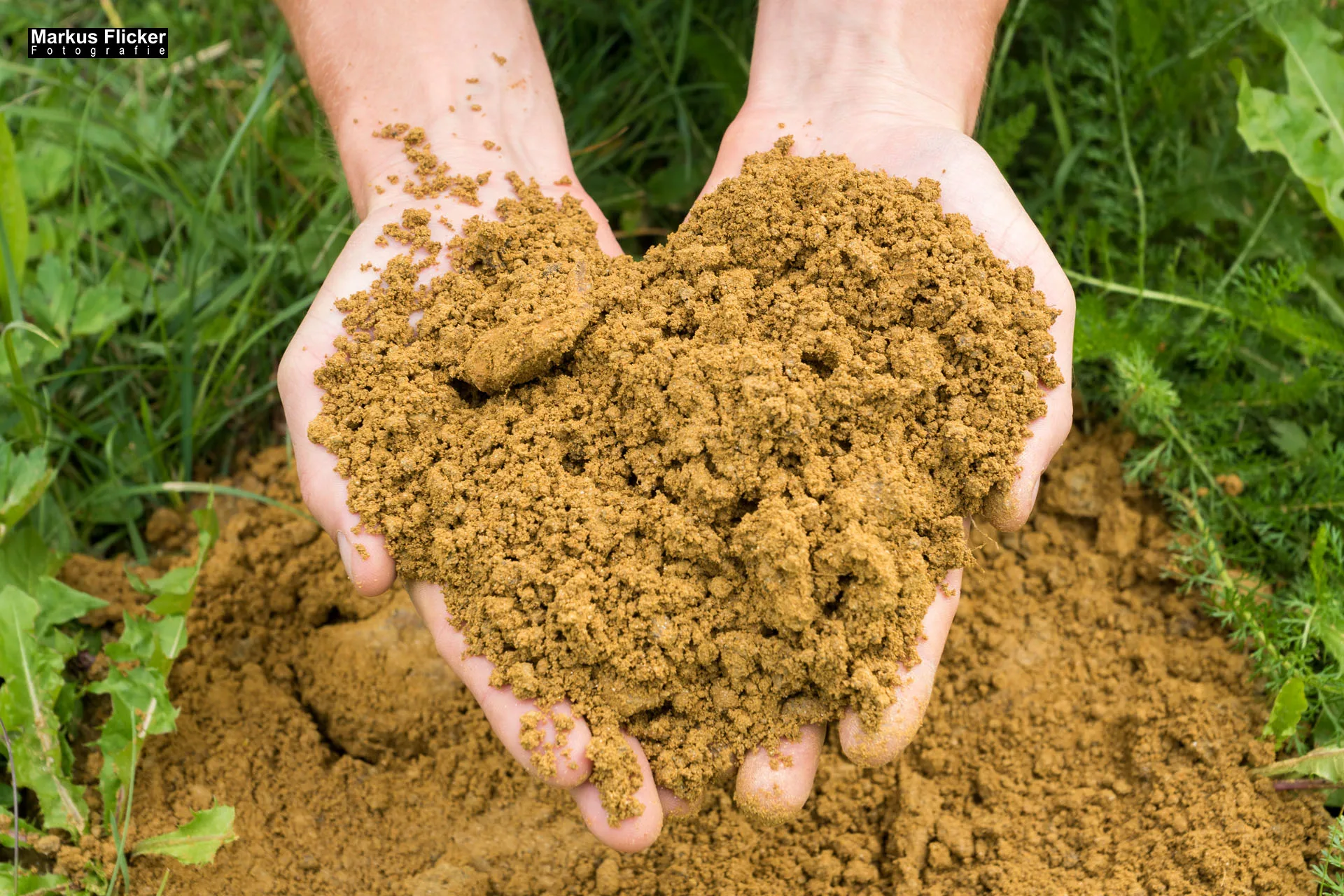 Weingut Michael am Rosenberg Werbefotos Wein Steiermark Österreich im Fotostudio Produktfoto