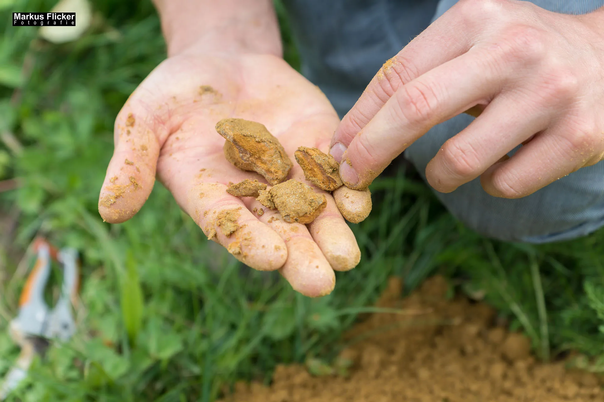 Weingut Michael am Rosenberg Werbefotos Wein Steiermark Österreich im Fotostudio Produktfoto