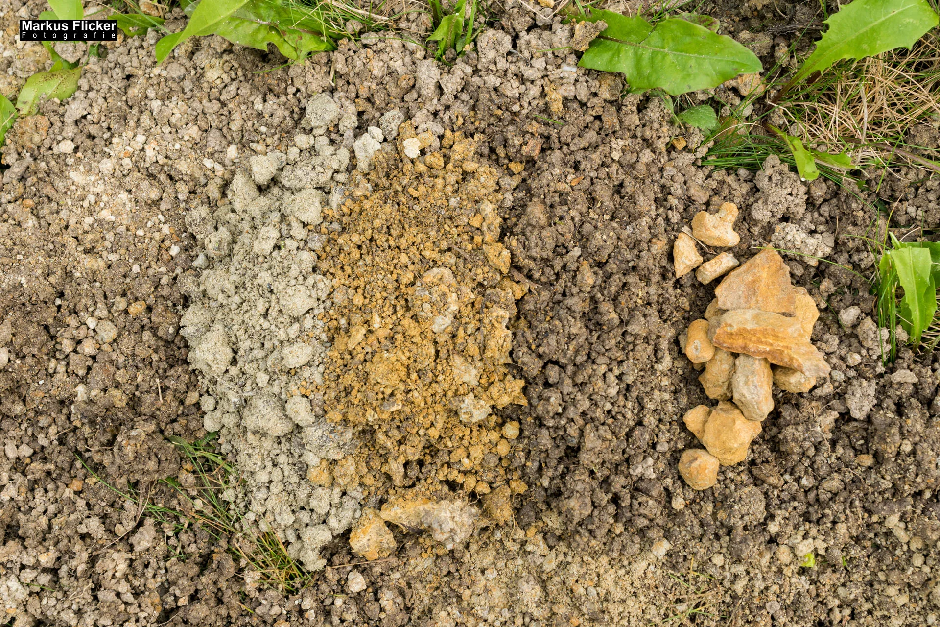 Weingut Michael am Rosenberg Werbefotos Wein Steiermark Österreich im Fotostudio Produktfoto