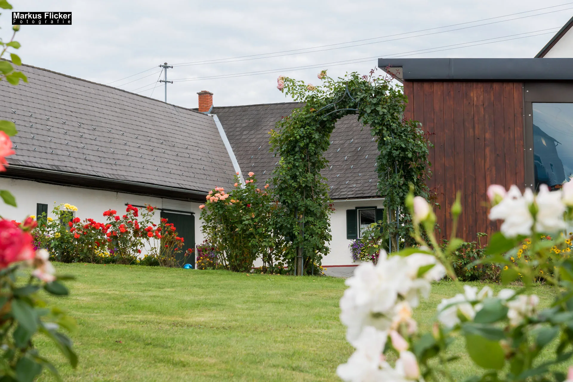 Weingut Michael am Rosenberg Werbefotos Wein Steiermark Österreich im Fotostudio Produktfoto