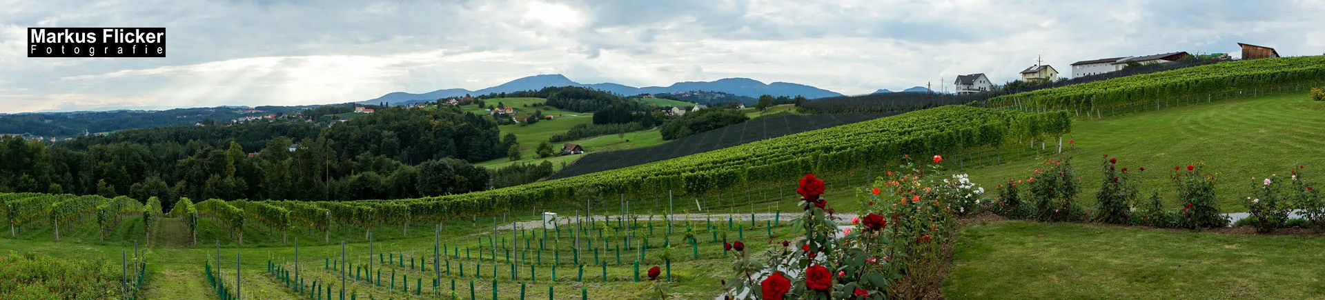 Weingut Michael am Rosenberg Werbefotos Wein Steiermark Österreich im Fotostudio Produktfoto