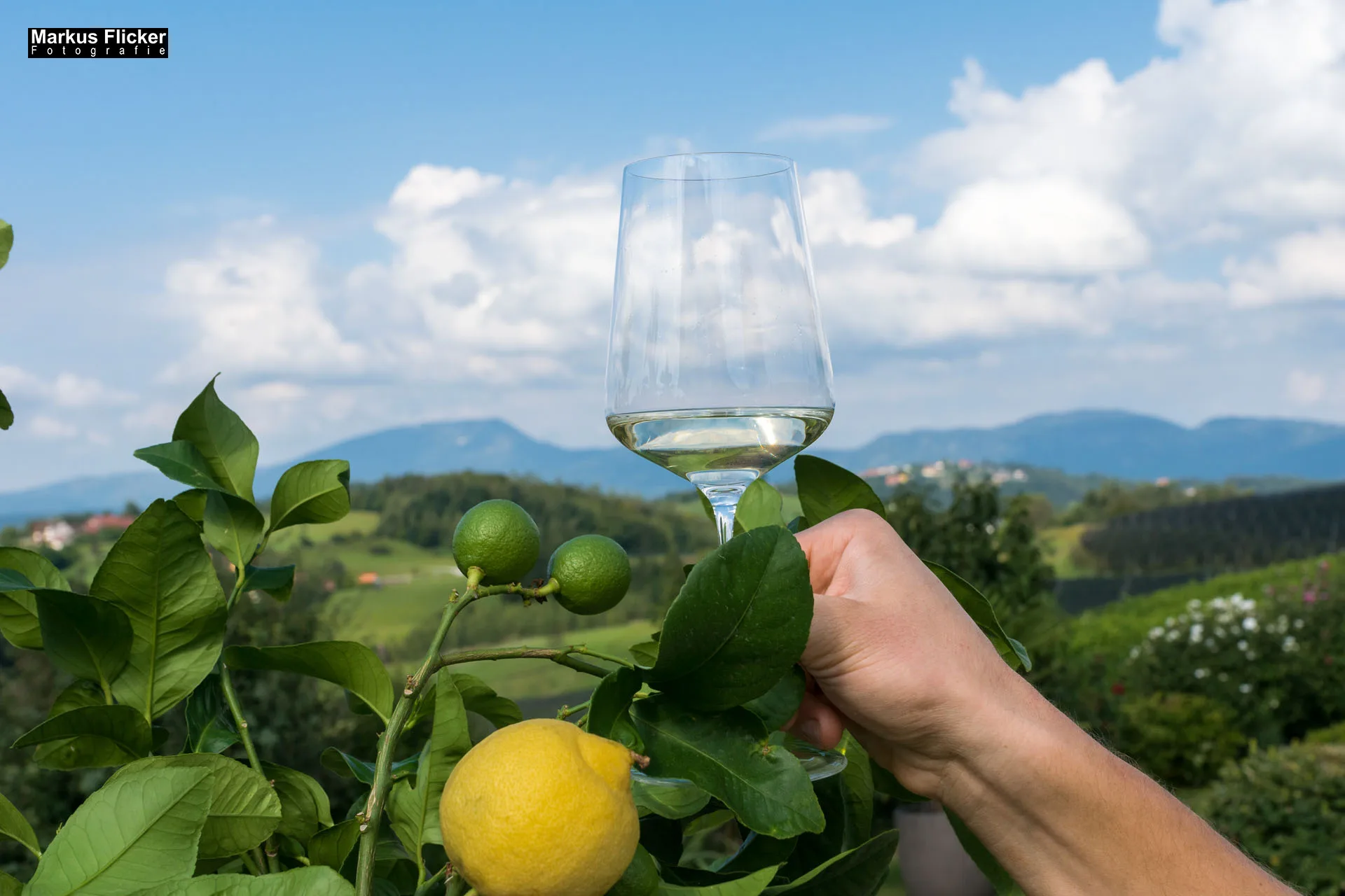 Weingut Michael am Rosenberg Werbefotos Wein Steiermark Österreich im Fotostudio Produktfoto