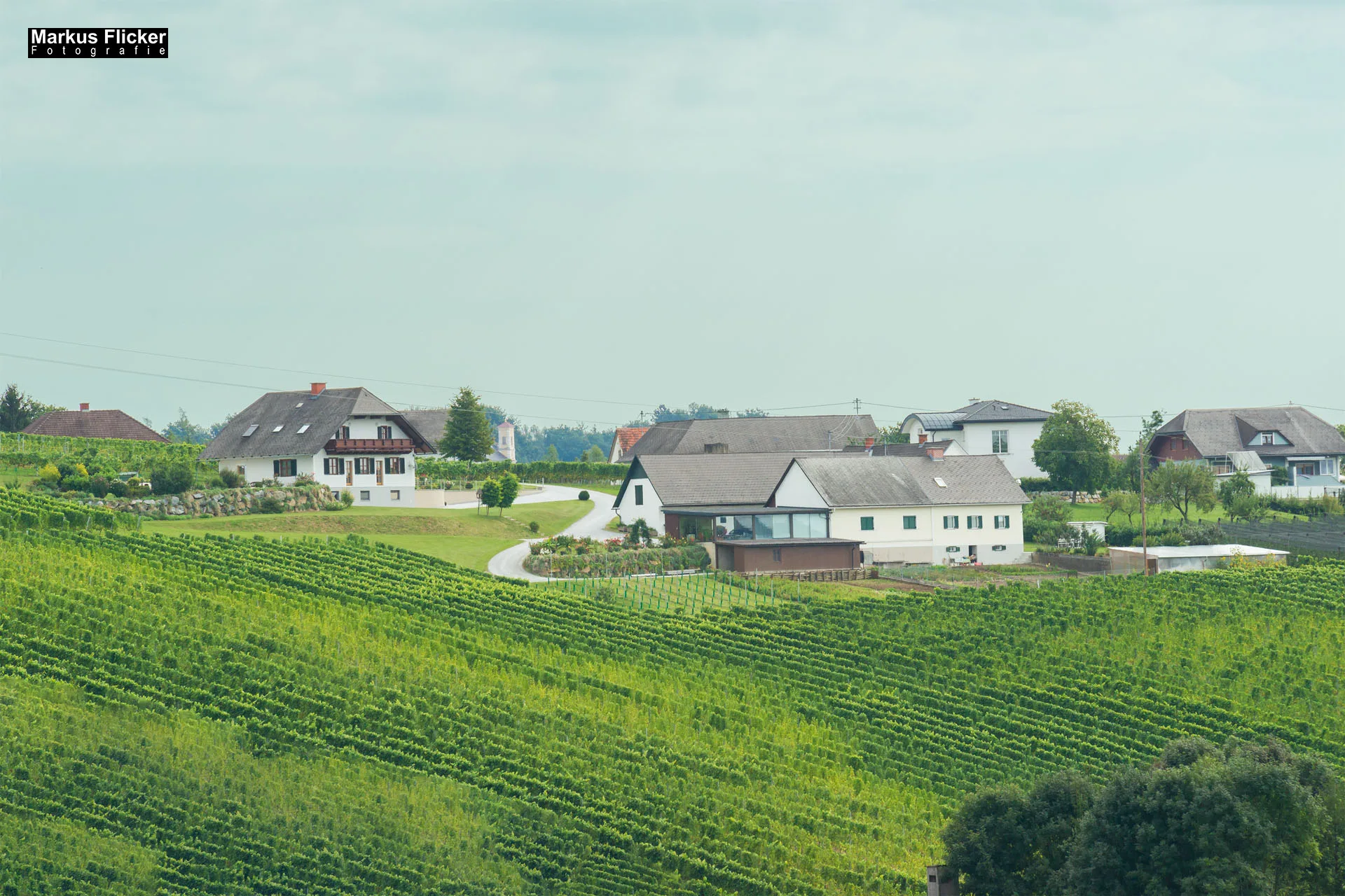 Weingut Michael am Rosenberg Werbefotos Wein Steiermark Österreich im Fotostudio Produktfoto