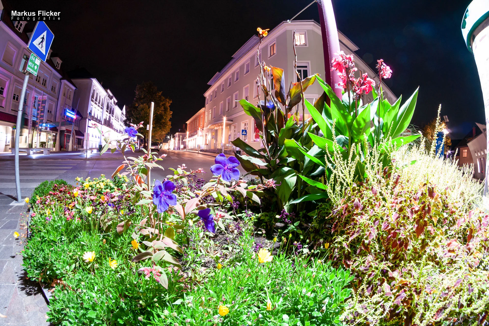 Fotoprojekt Weitwinkel Fotografie 365 Tage Walimex Pro 8mm Fisheye Fischaugenobjektiv