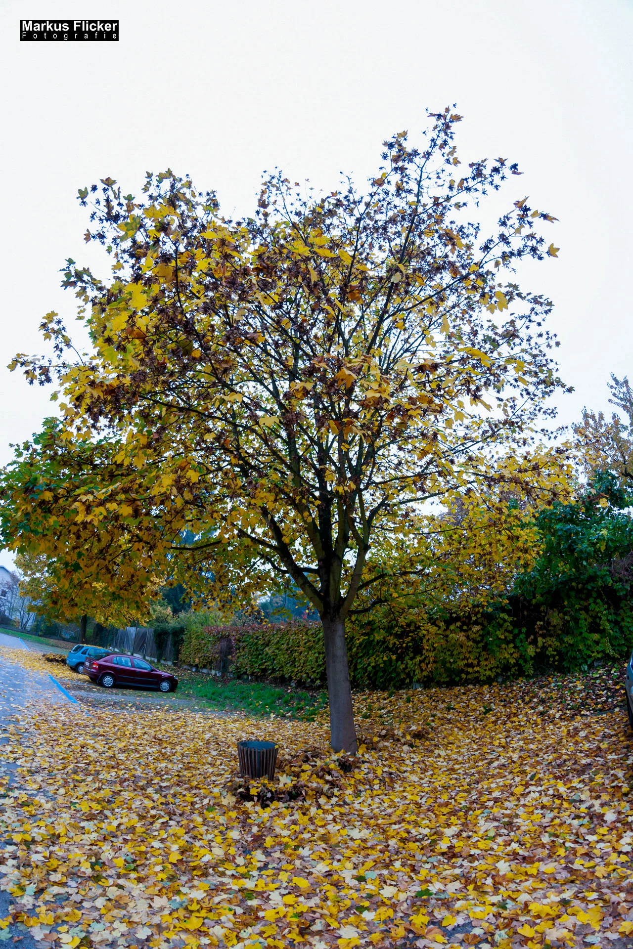 Fotoprojekt Weitwinkel Fotografie 365 Tage Walimex Pro 8mm Fisheye Fischaugenobjektiv