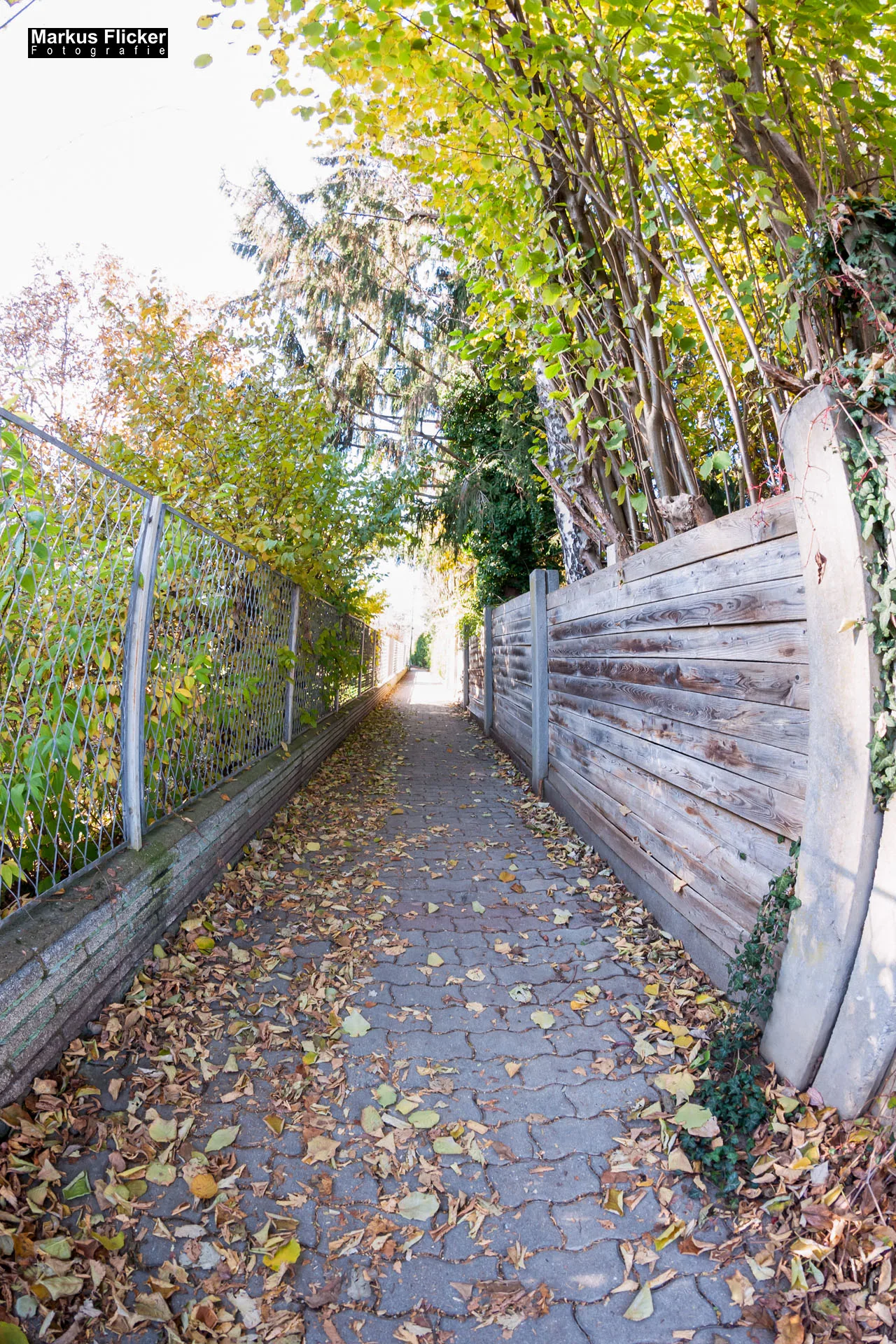 Fotoprojekt Weitwinkel Fotografie 365 Tage Walimex Pro 8mm Fisheye Fischaugenobjektiv