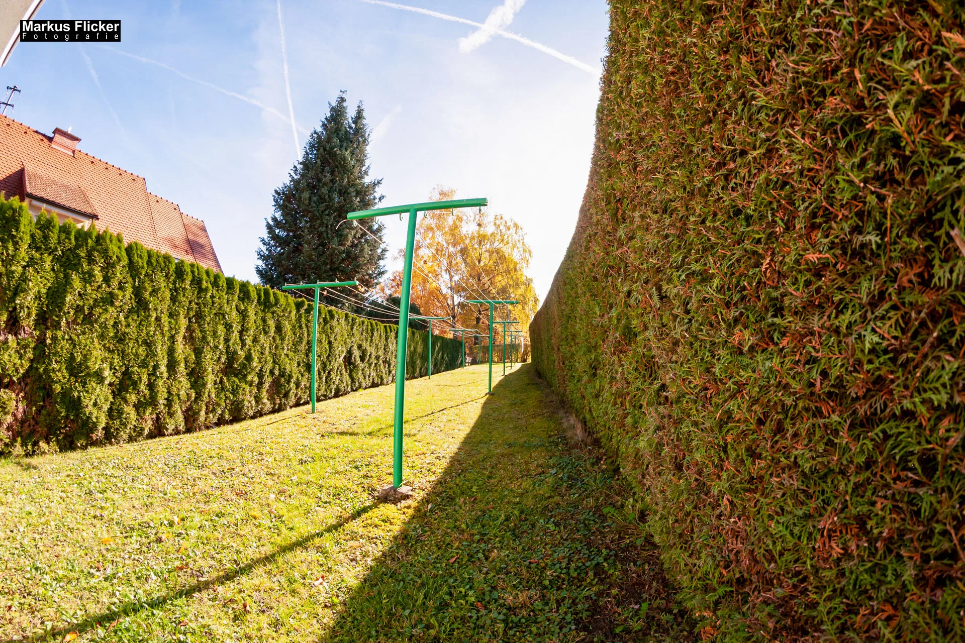 Fotoprojekt Weitwinkel Fotografie 365 Tage Walimex Pro 8mm Fisheye Fischaugenobjektiv