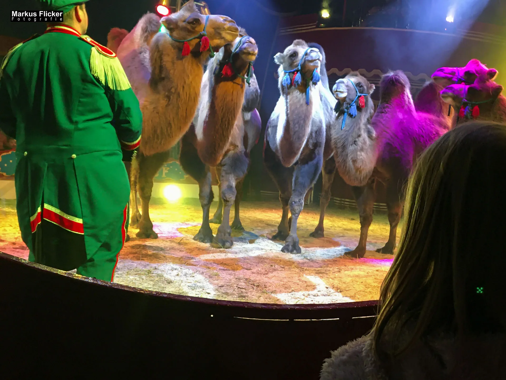 Der Zirkus ist in der Stadt. Fotografieren einer Vorstellung mit dem Smartphone. Fotografieren und Filmen mit dem Smartphone: Bessere Fotos und Videos mit dem Handy für Freizeit, Hobby und Business