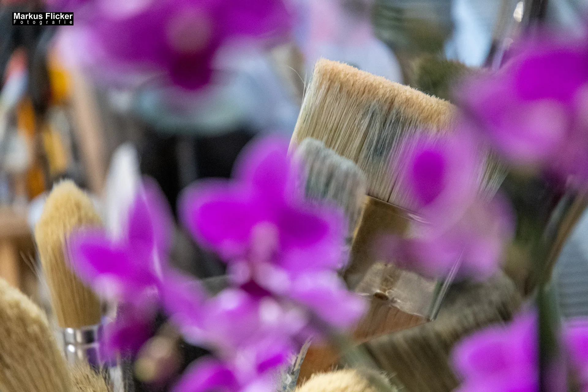 Intuitive Prozessmalerei Malwerkstatt Martina Brandl