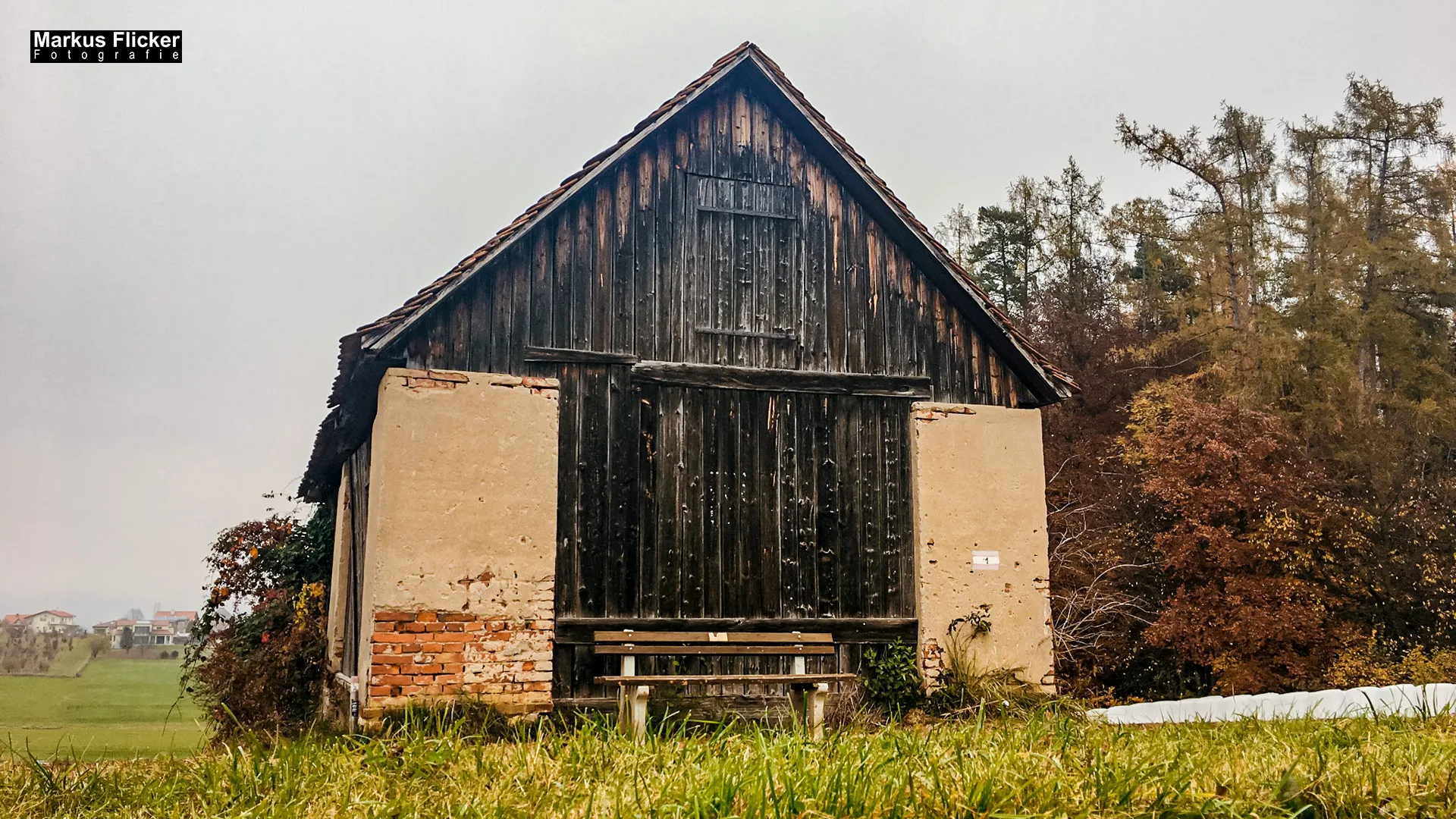 Herbst Fotospaziergang bei Nebel im Wald an der Raab in der Steiermark im Wald Teil 1 inkl. Fototipps mit dem Smartphone. Fotografieren und Filmen mit dem Smartphone: Bessere Fotos und Videos mit dem Handy für Freizeit, Hobby und Business