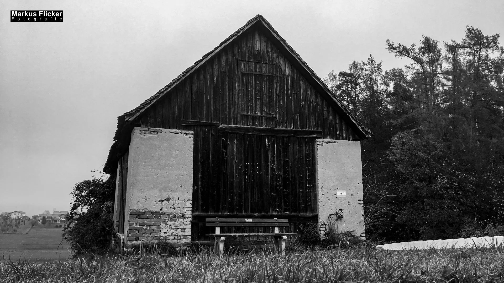 Herbst Fotospaziergang bei Nebel im Wald Raabklamm Raab Steiermark