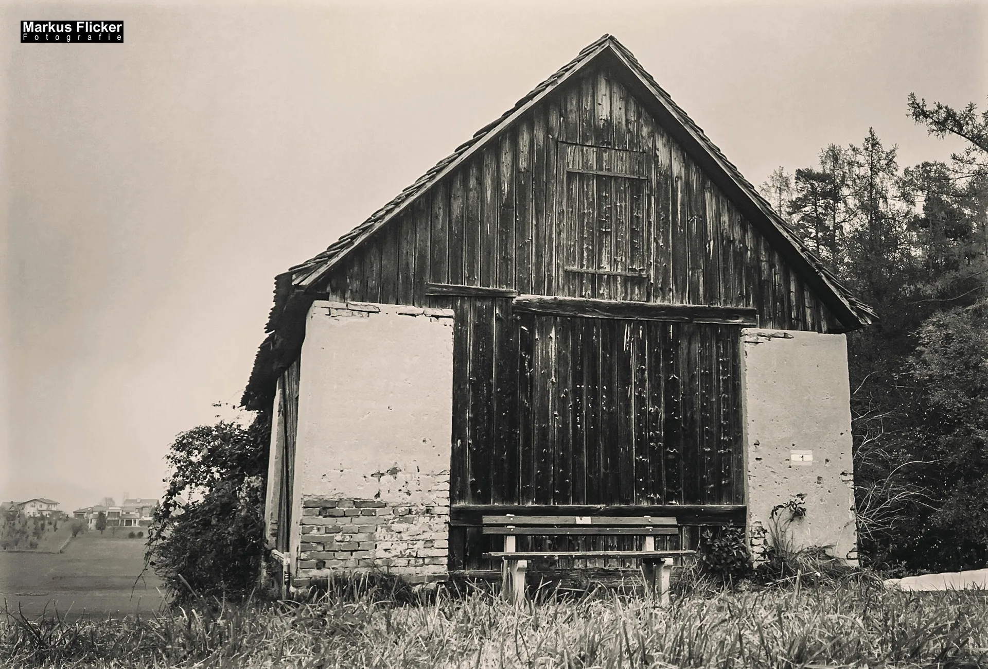 Herbst Fotospaziergang bei Nebel im Wald Raabklamm Raab Steiermark