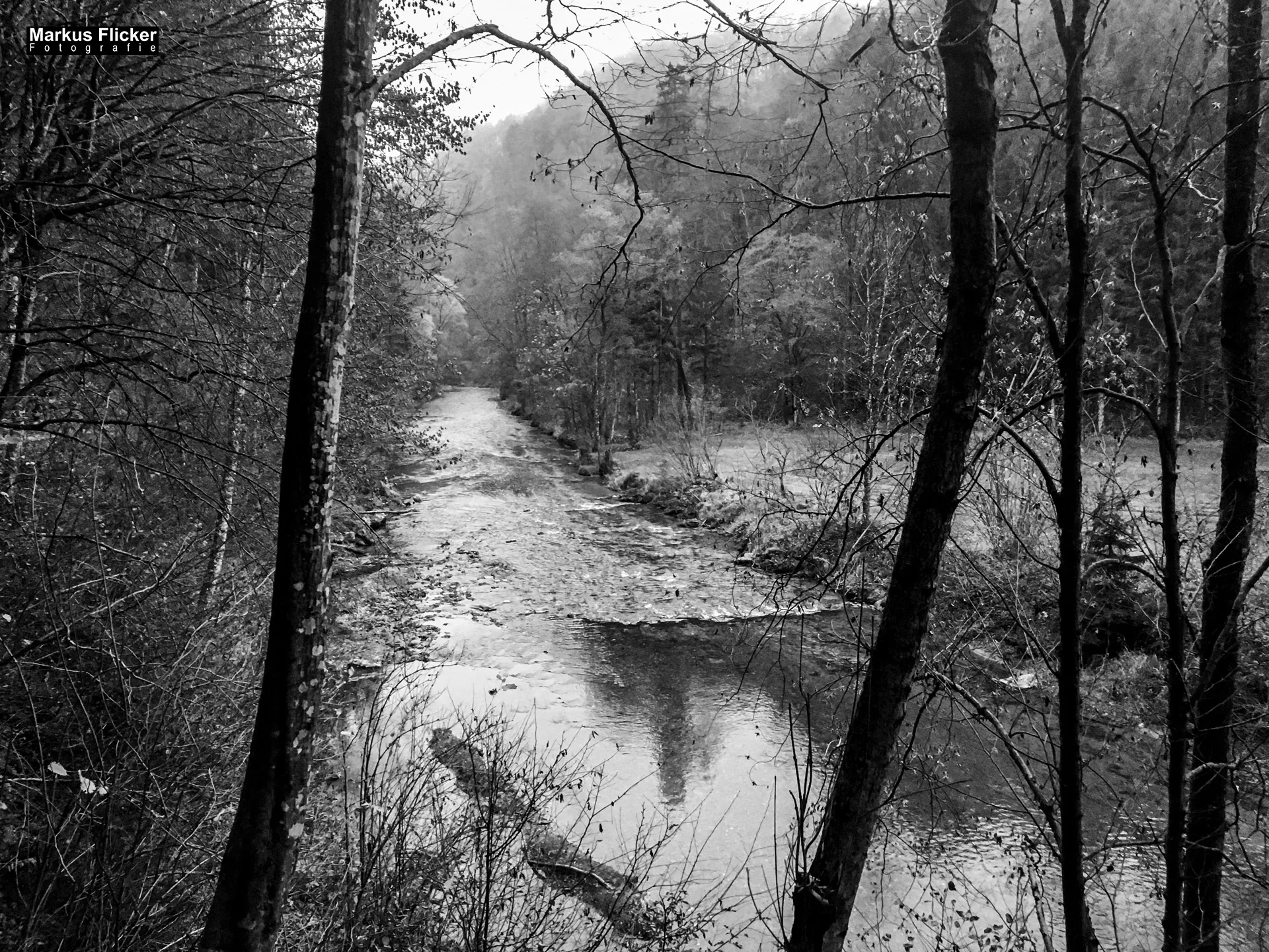Herbst Fotospaziergang bei Nebel im Wald Raabklamm Raab Steiermark